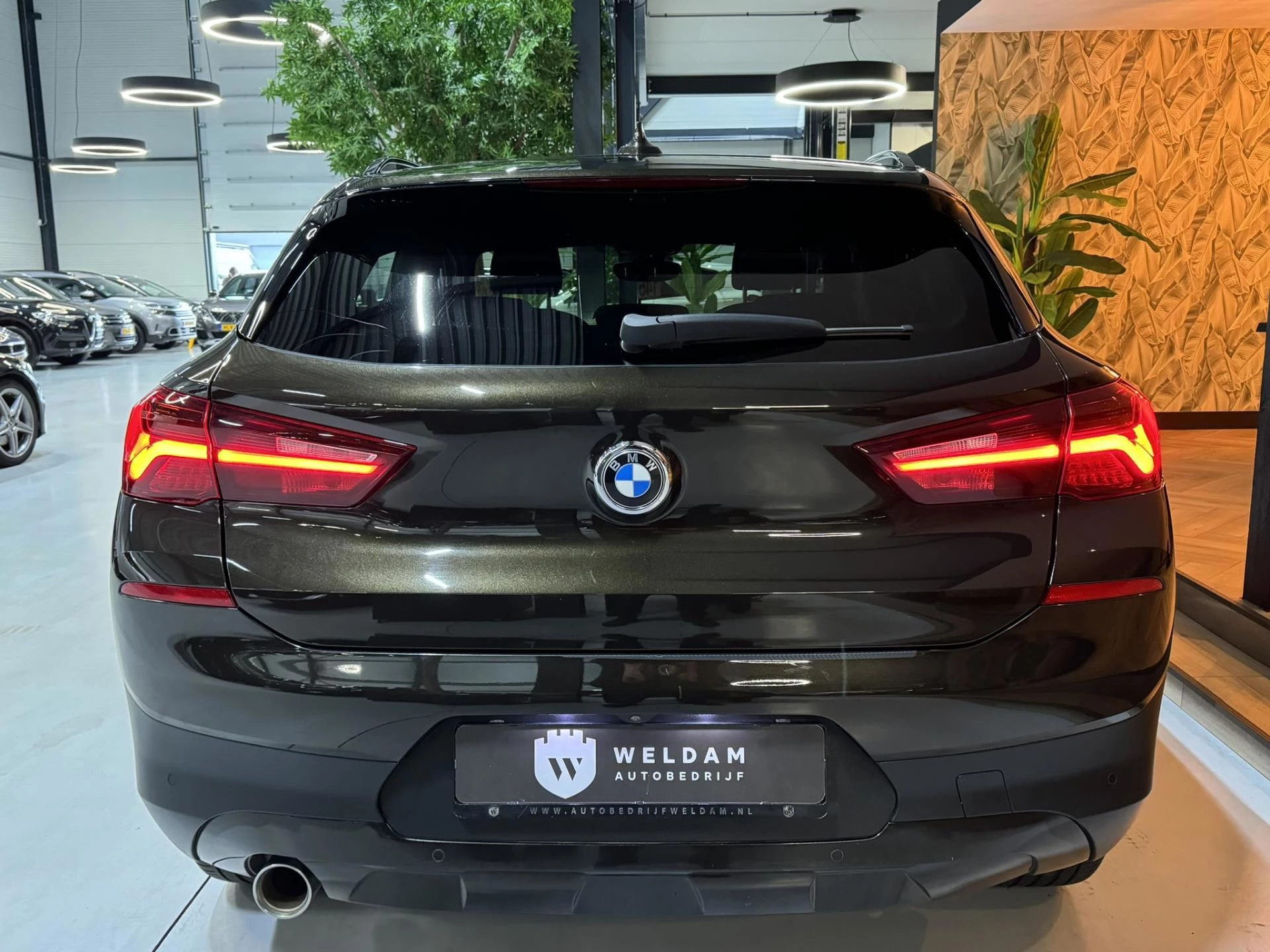 Hoofdafbeelding BMW X2