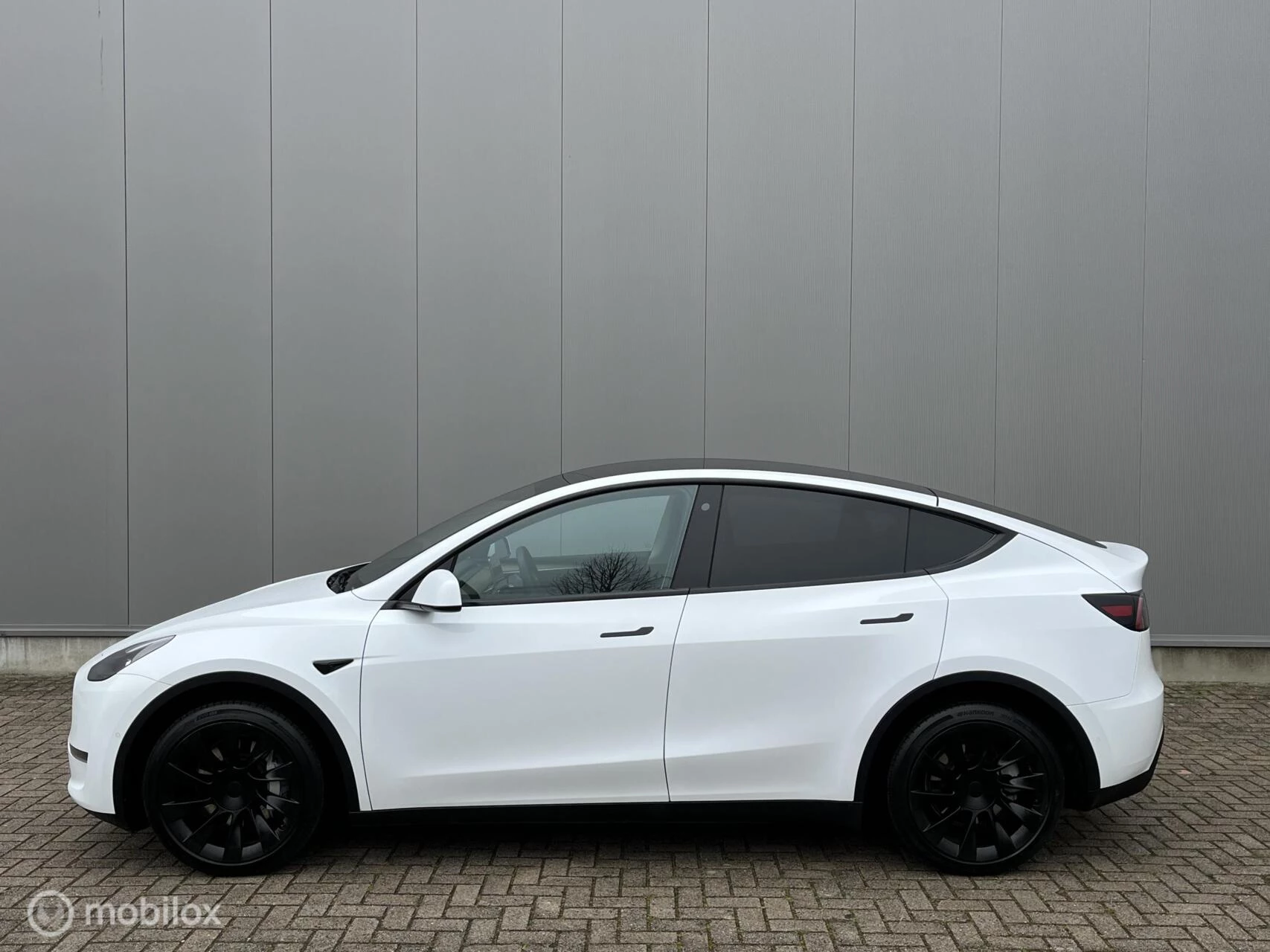 Hoofdafbeelding Tesla Model Y