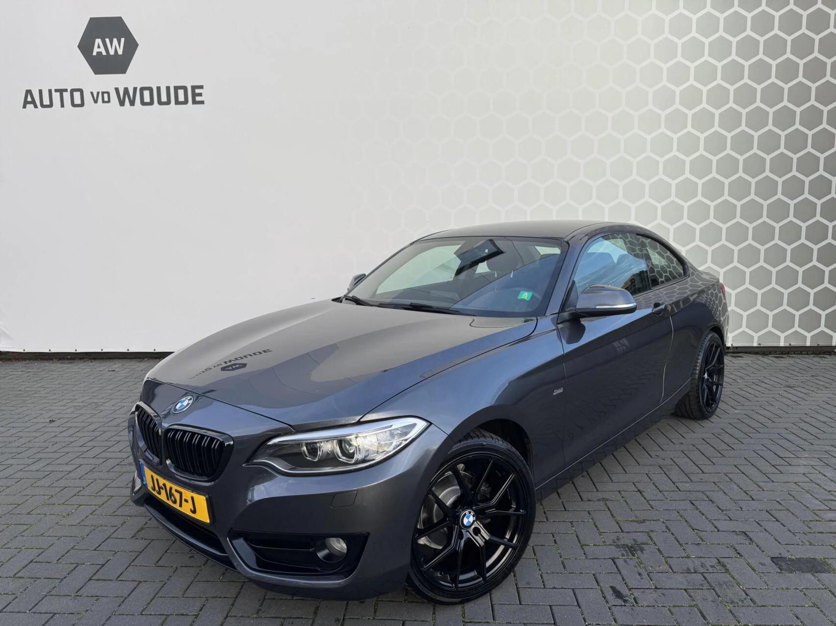 Hoofdafbeelding BMW 2 Serie