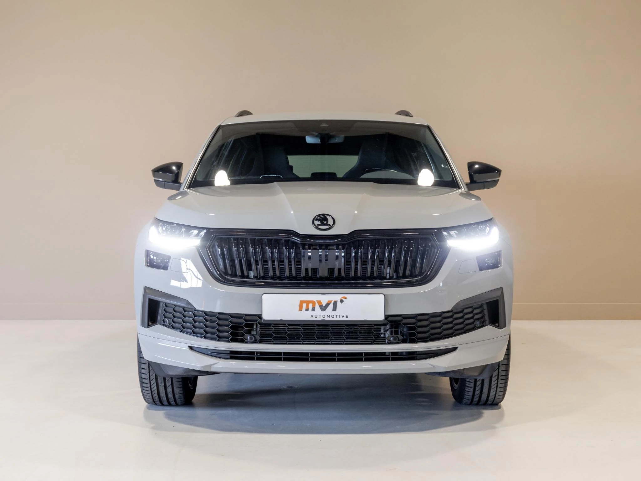 Hoofdafbeelding Škoda Kodiaq