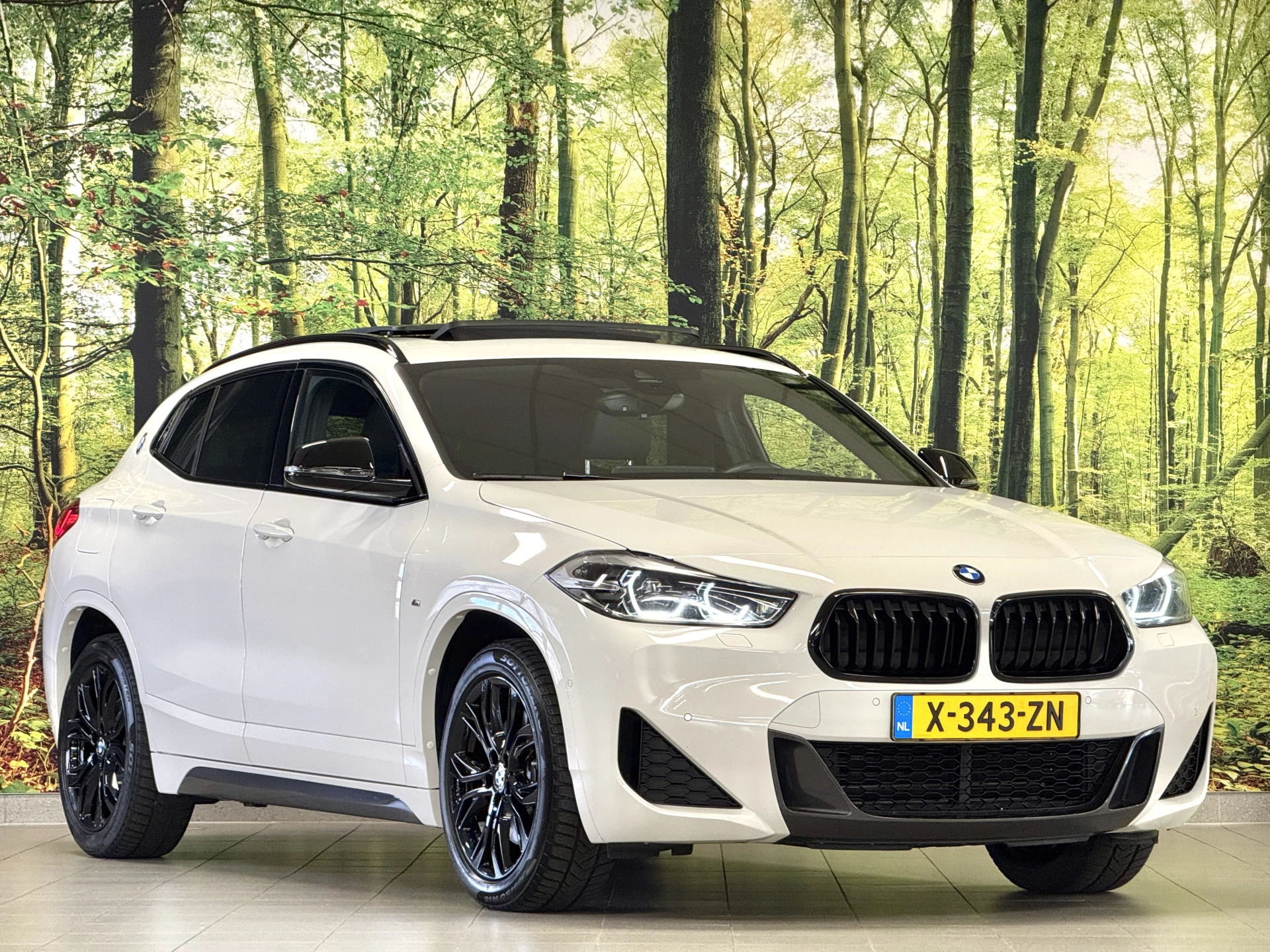 Hoofdafbeelding BMW X2