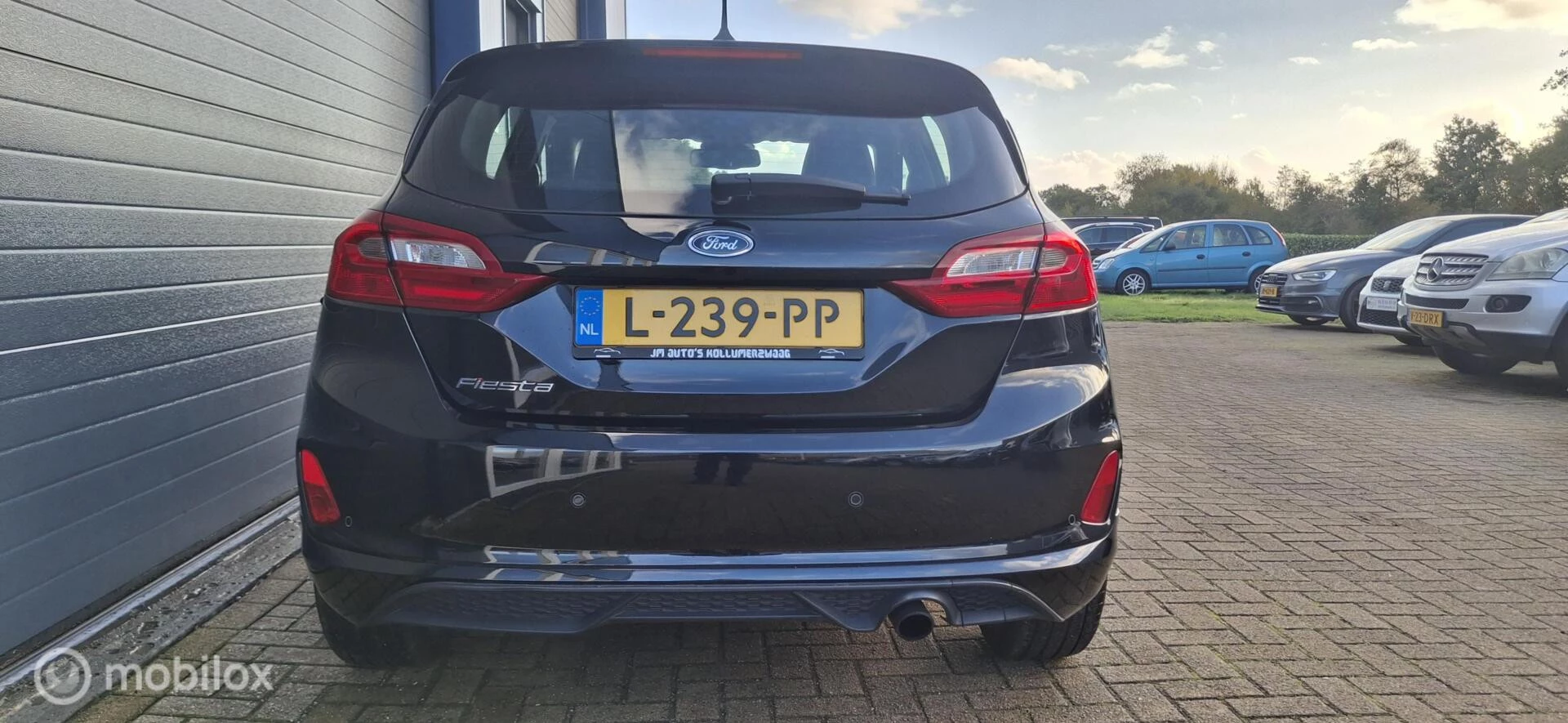Hoofdafbeelding Ford Fiesta