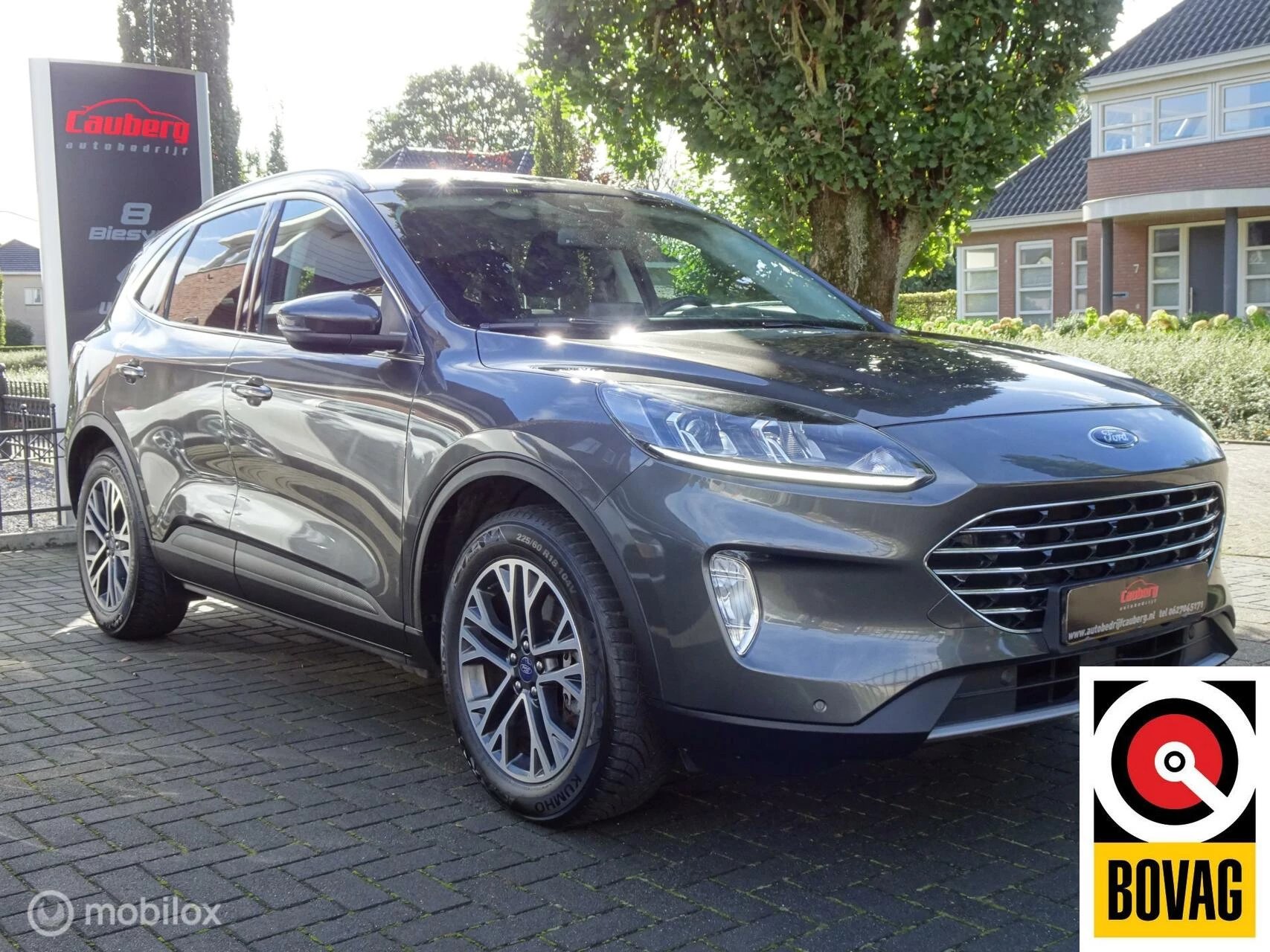 Hoofdafbeelding Ford Kuga