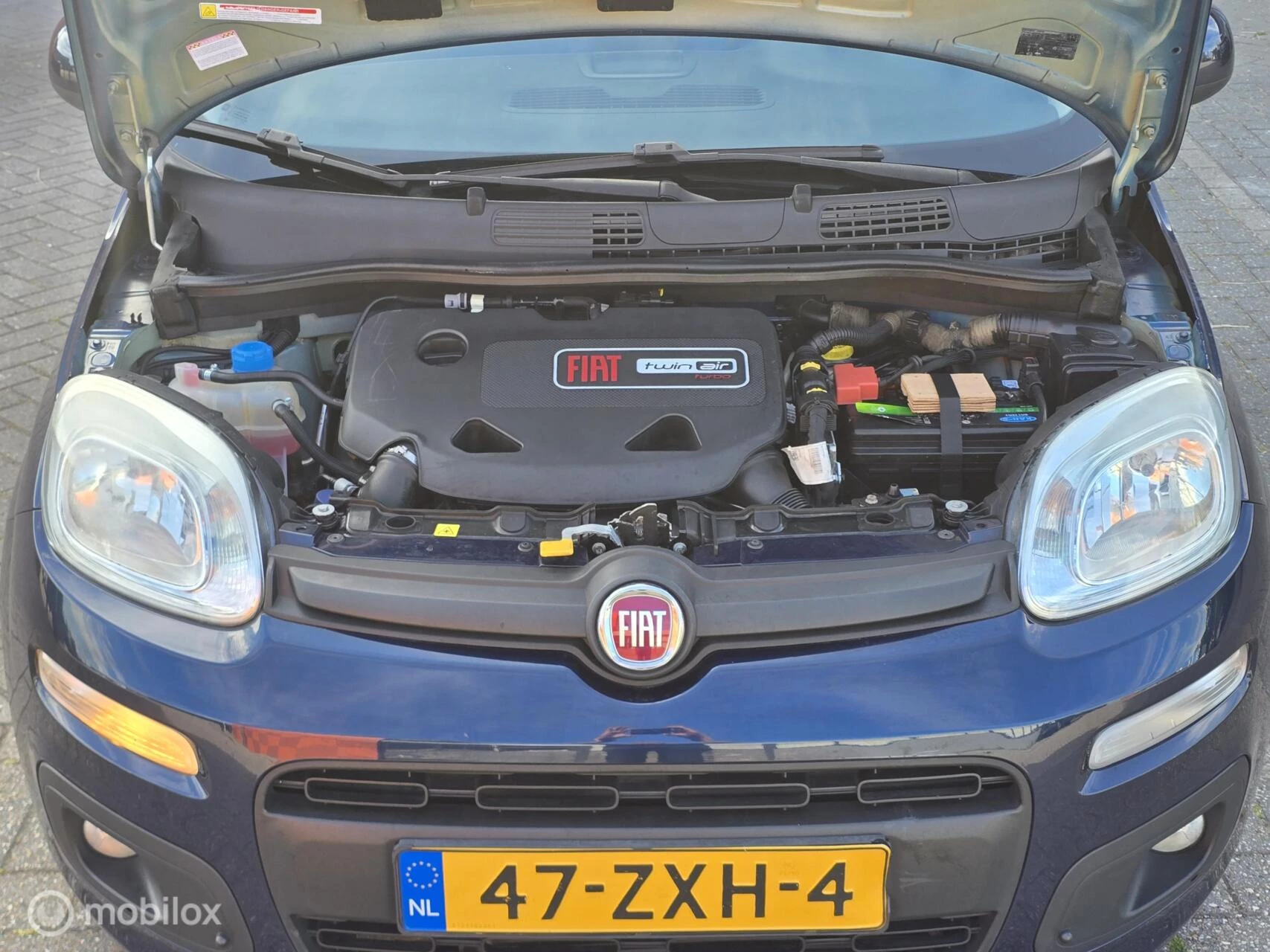 Hoofdafbeelding Fiat Panda