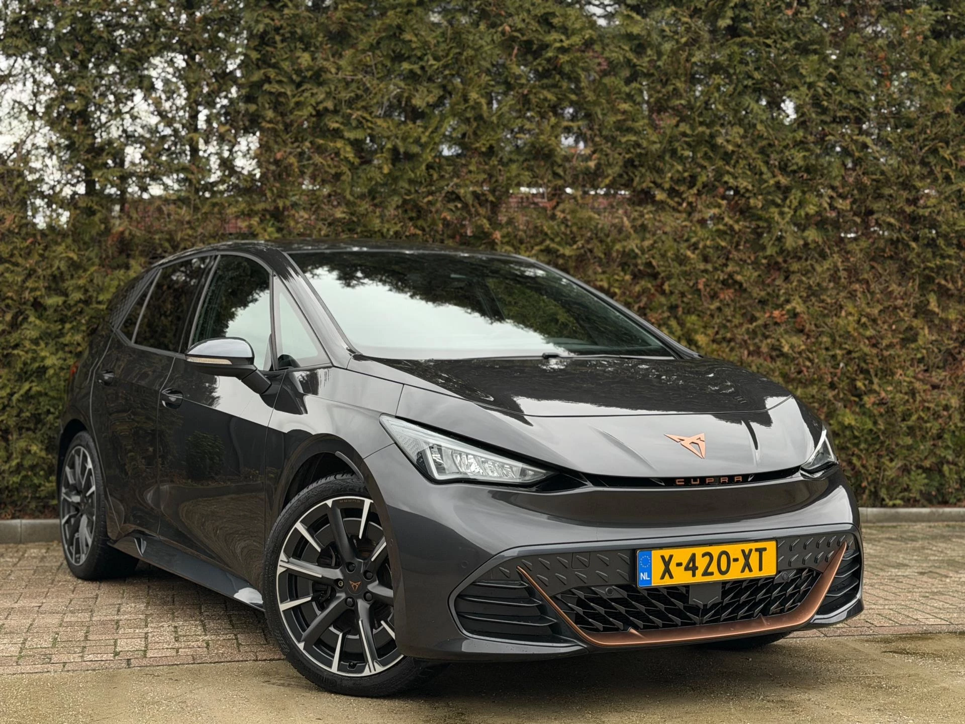 Hoofdafbeelding CUPRA Born