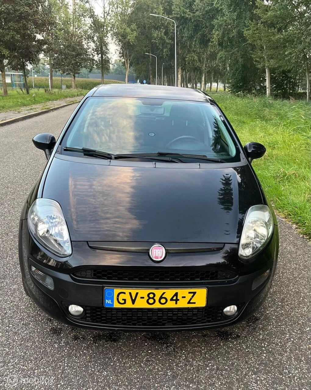Hoofdafbeelding Fiat Punto