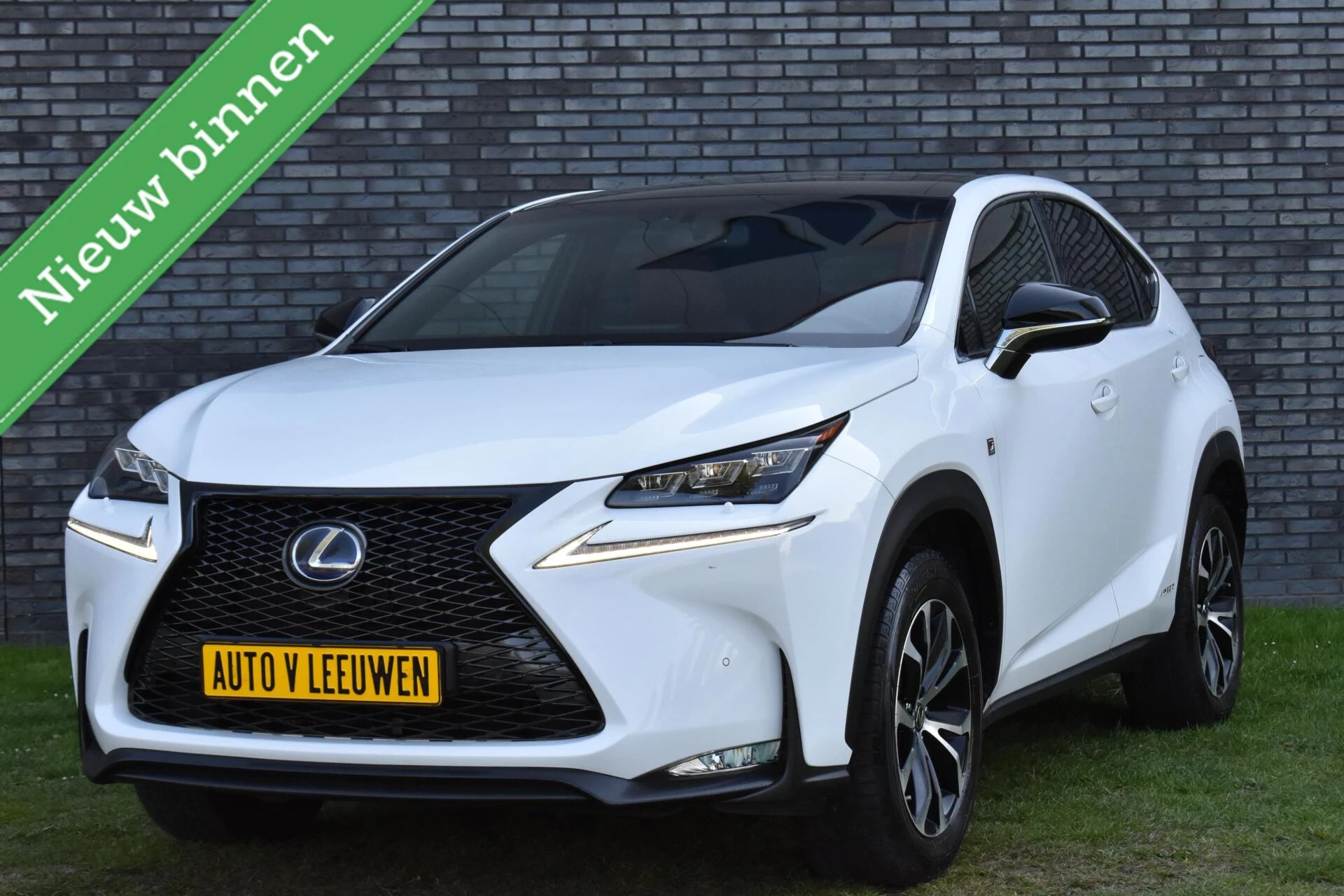 Hoofdafbeelding Lexus NX