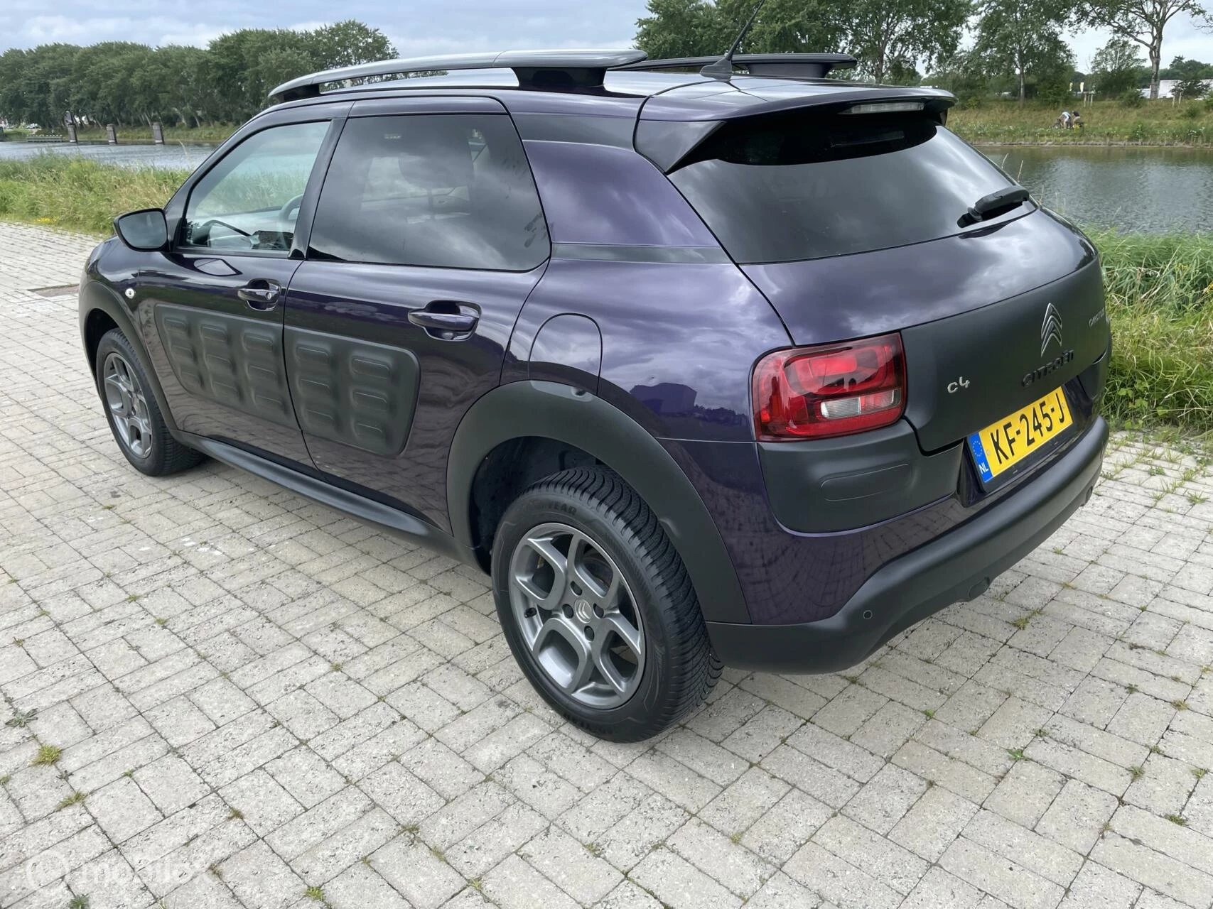 Hoofdafbeelding Citroën C4 Cactus