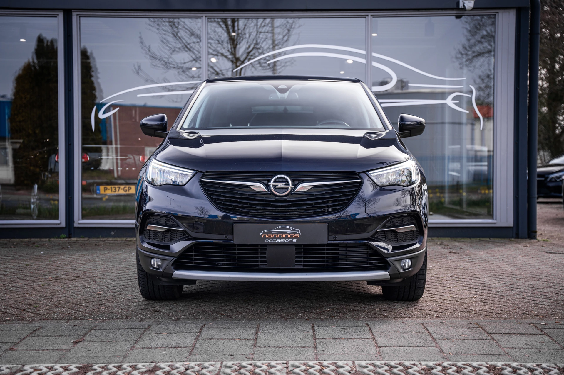 Hoofdafbeelding Opel Grandland X