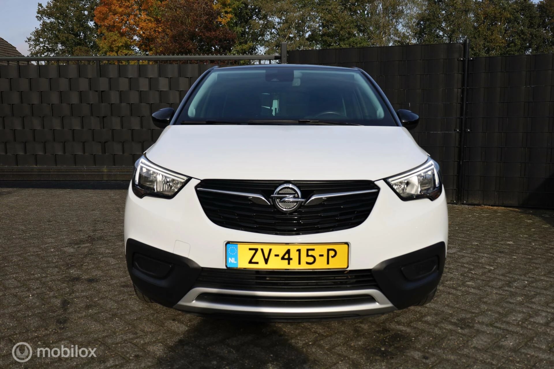 Hoofdafbeelding Opel Crossland X