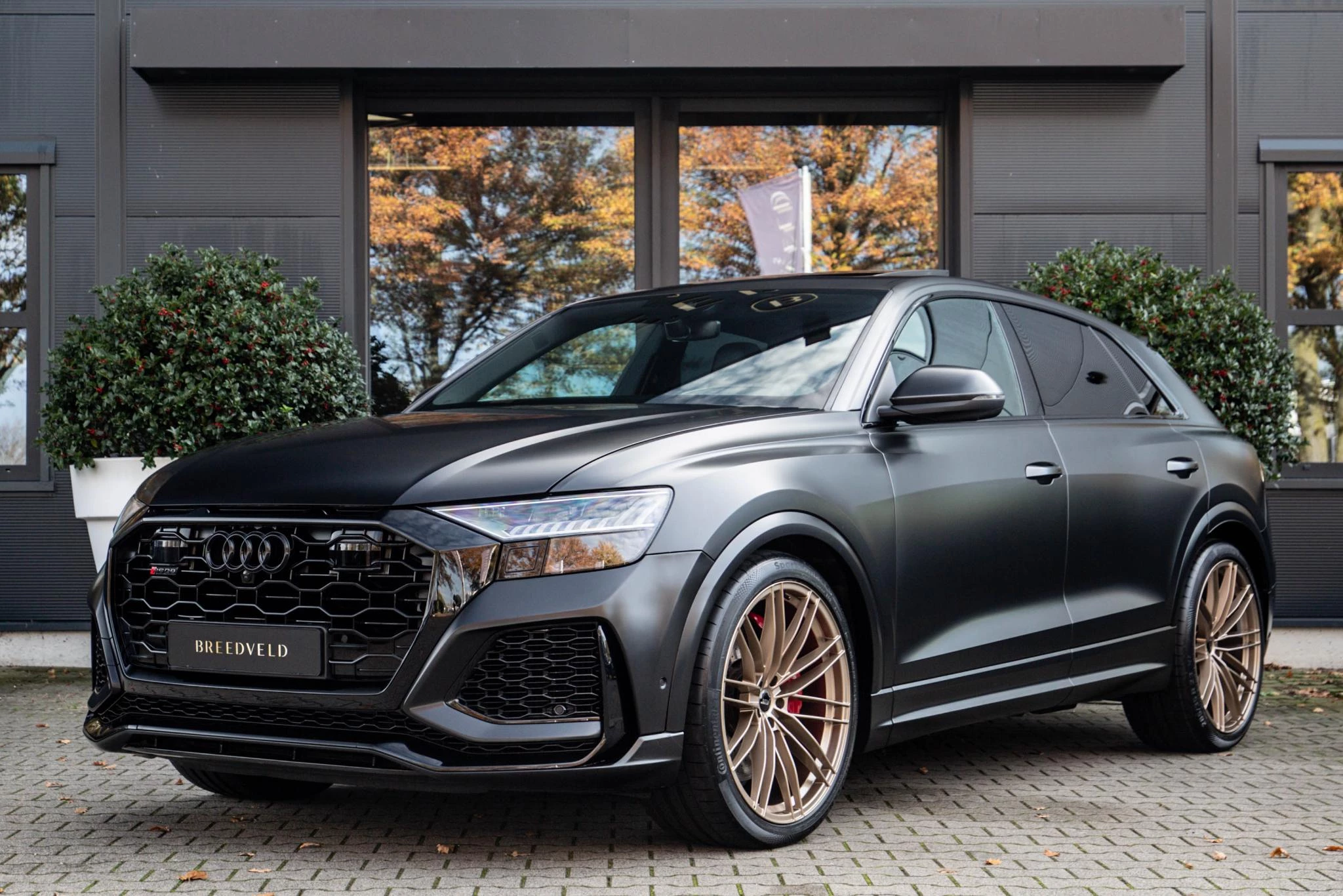 Hoofdafbeelding Audi RSQ8