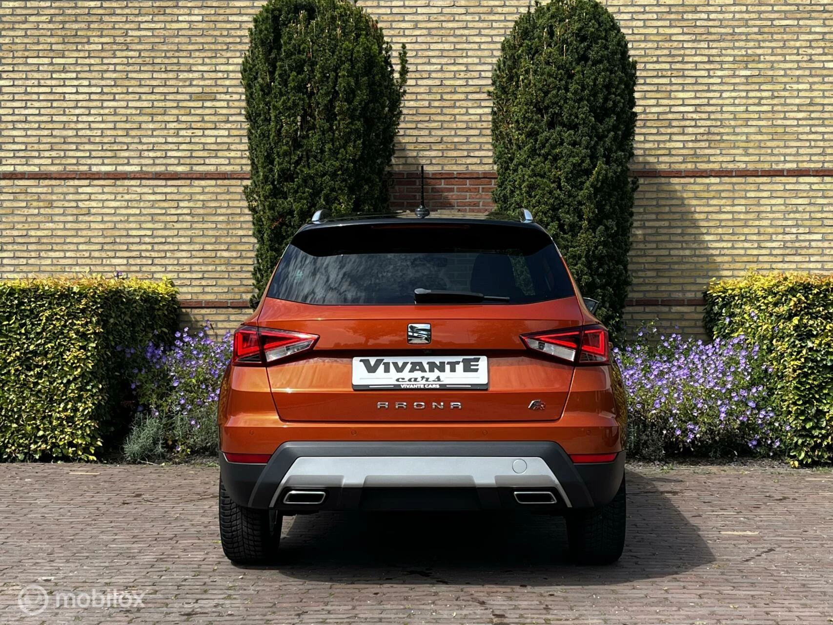 Hoofdafbeelding SEAT Arona