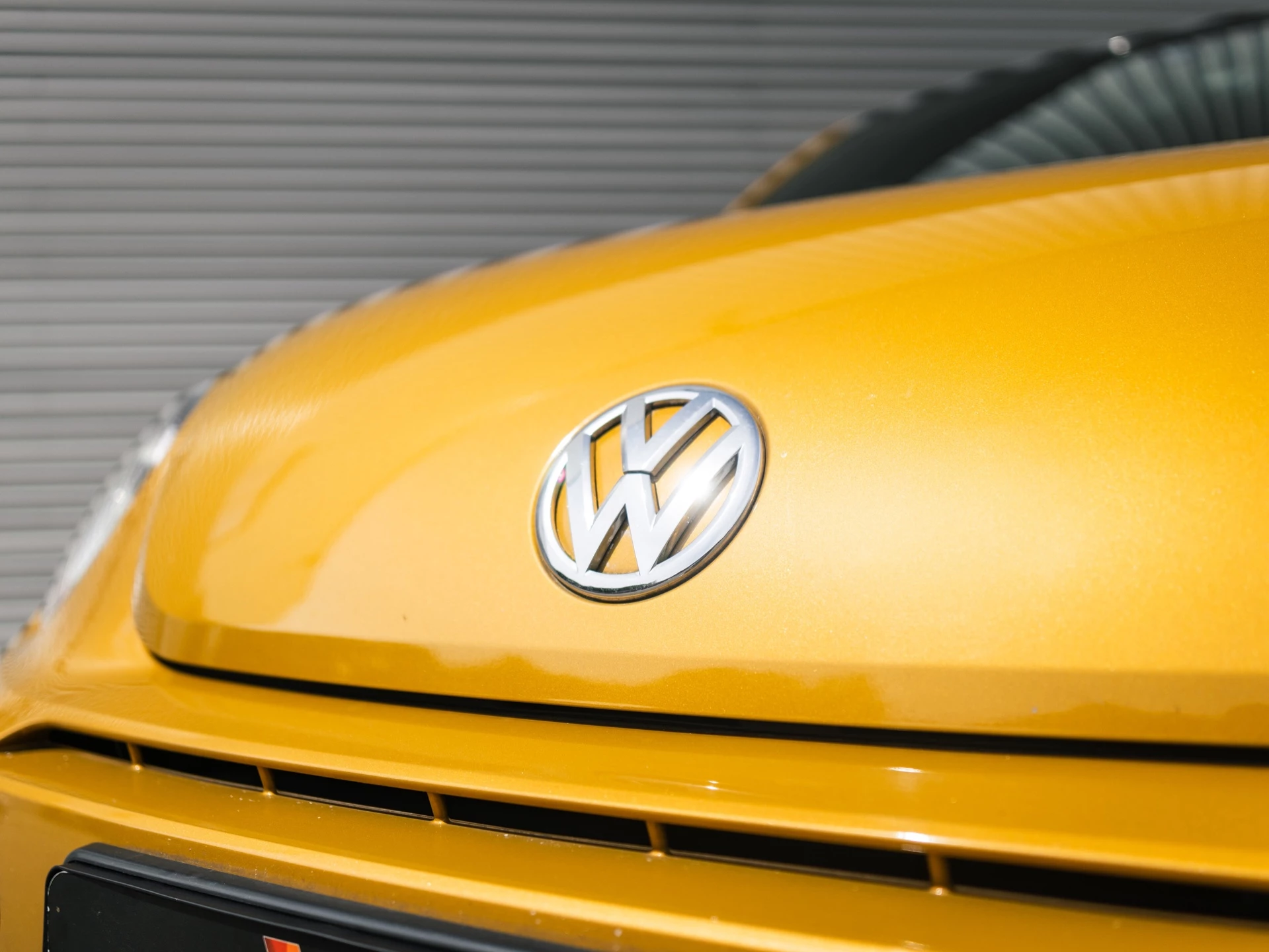 Hoofdafbeelding Volkswagen Beetle