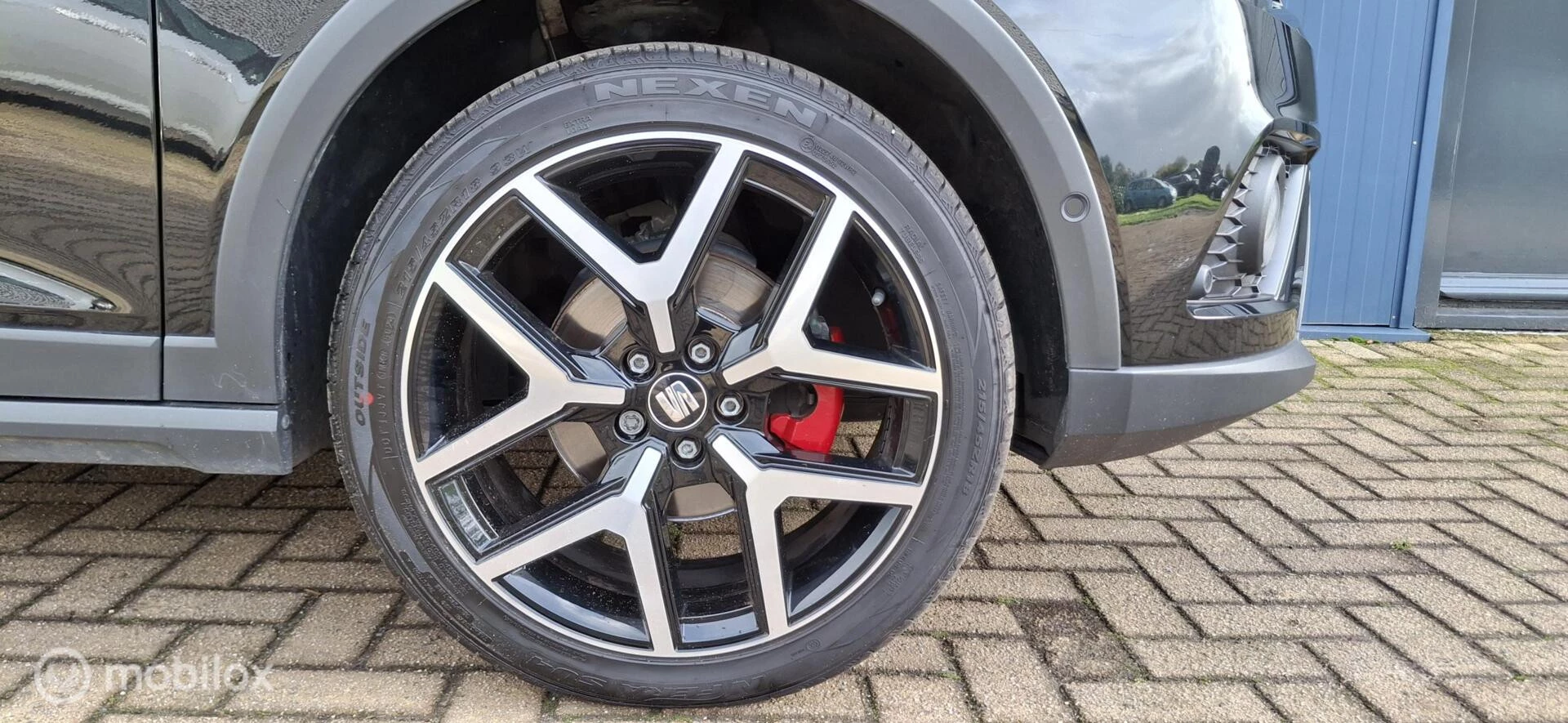 Hoofdafbeelding SEAT Arona