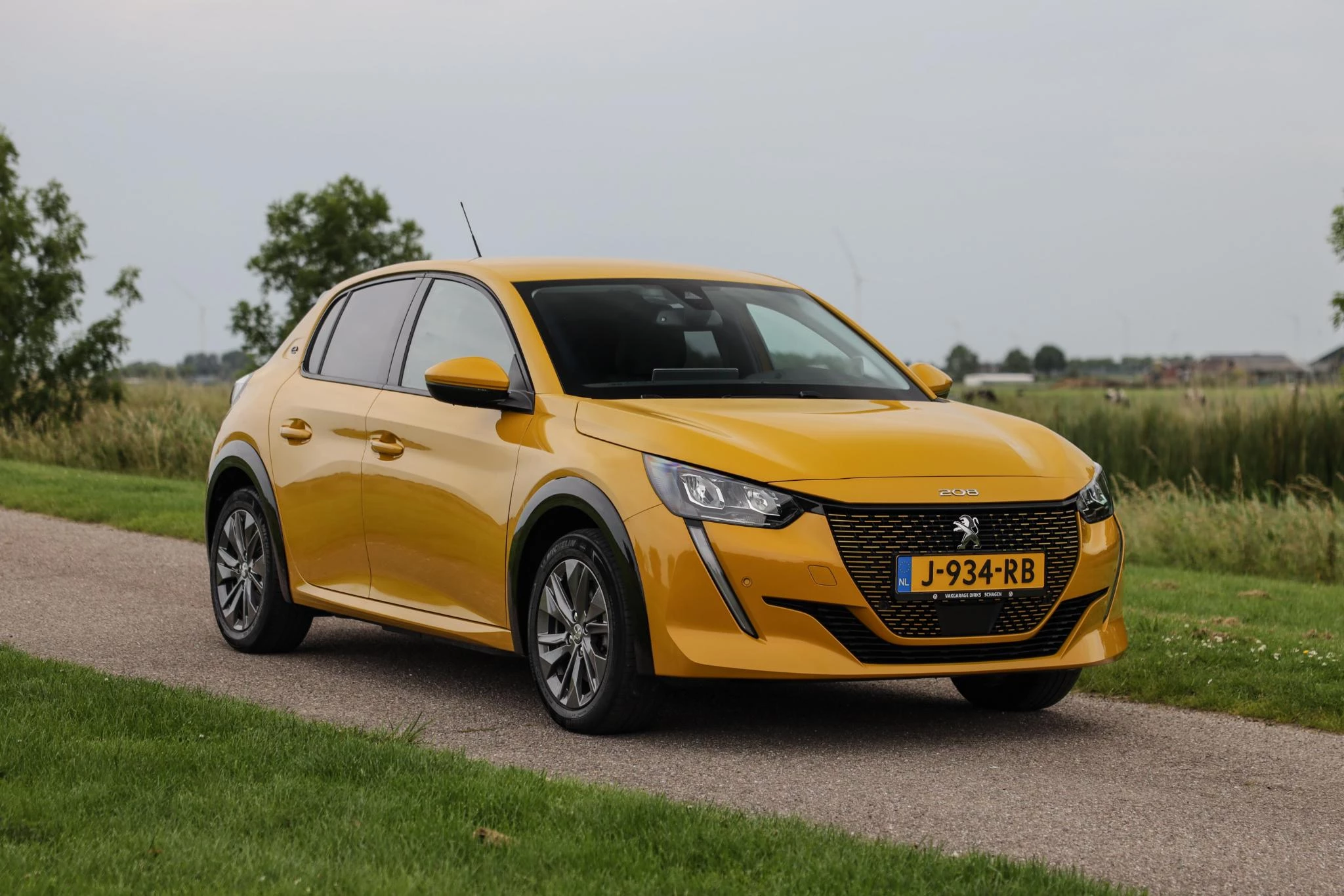 Hoofdafbeelding Peugeot e-208