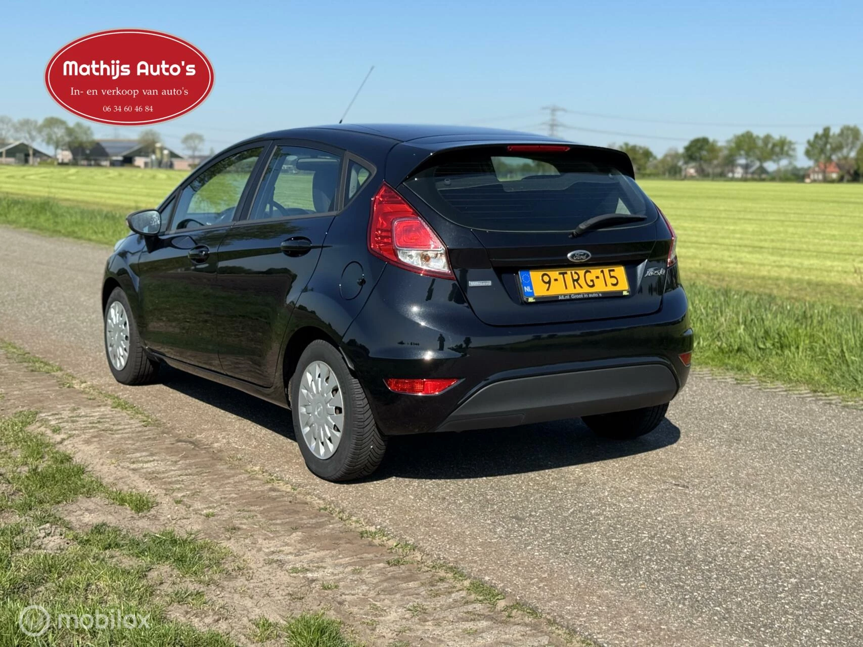 Hoofdafbeelding Ford Fiesta