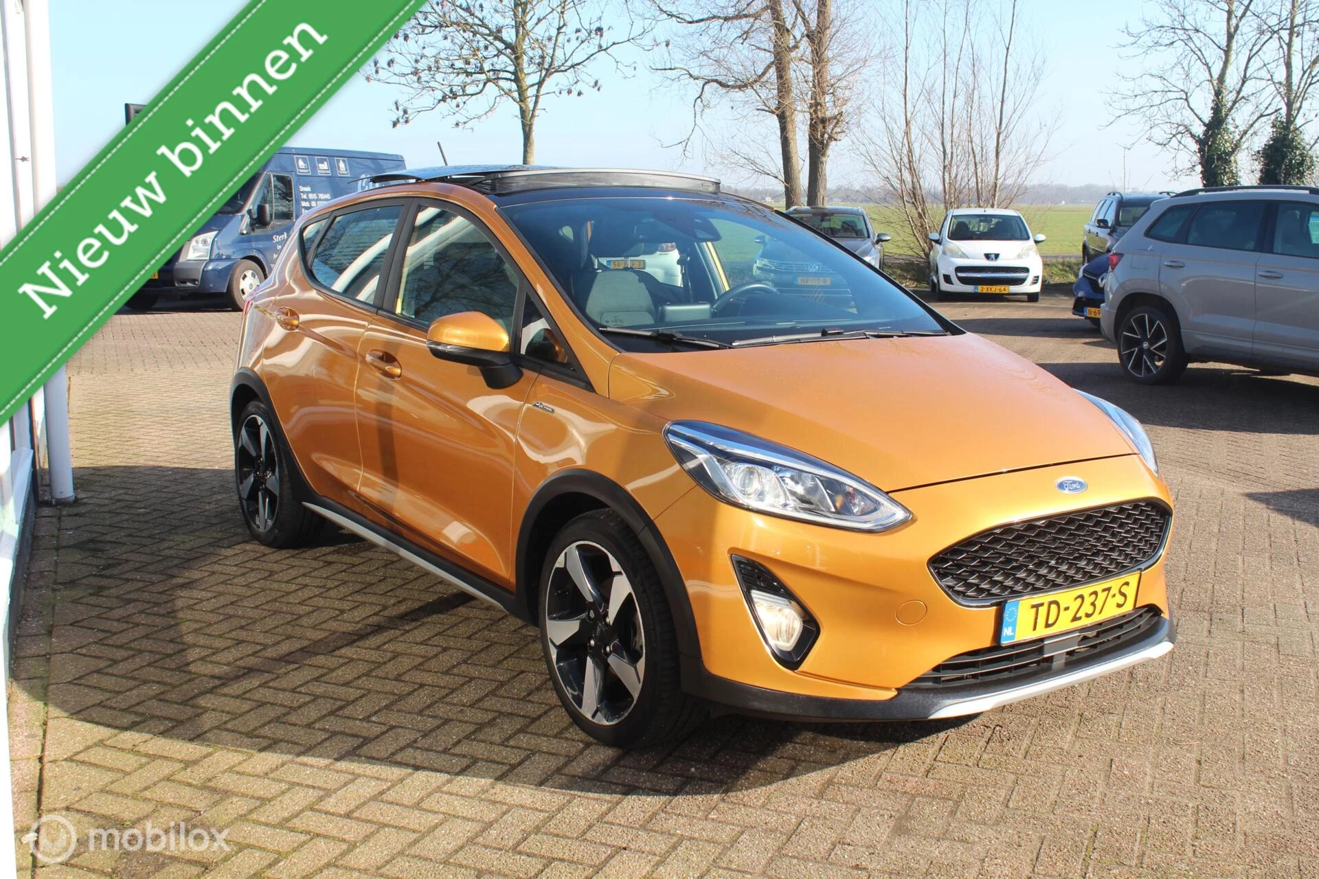 Hoofdafbeelding Ford Fiesta