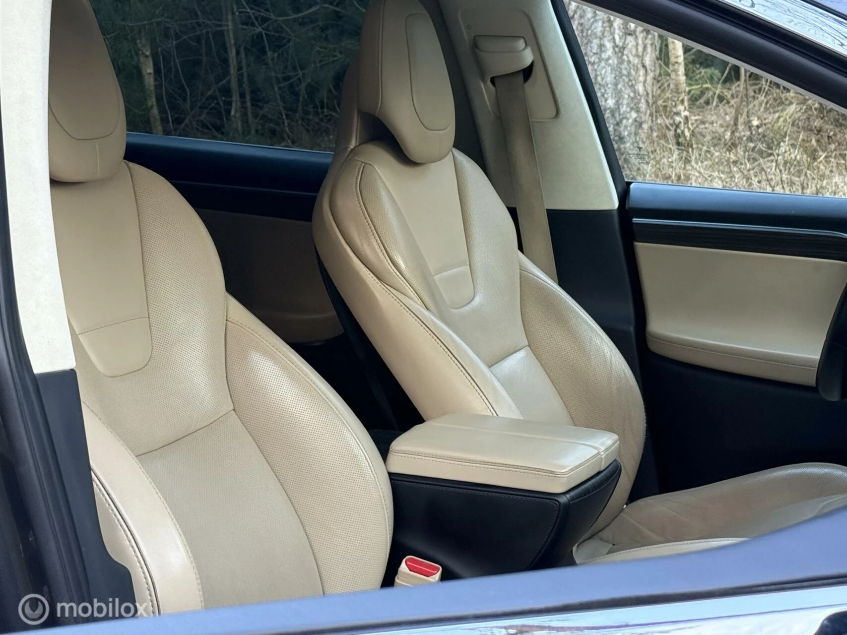 Hoofdafbeelding Tesla Model X