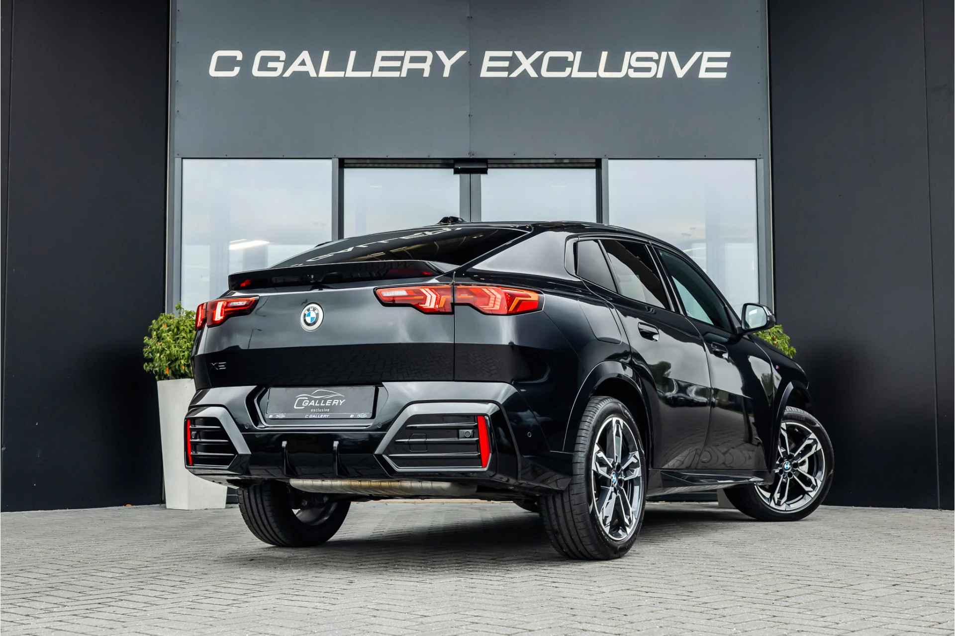 Hoofdafbeelding BMW X2