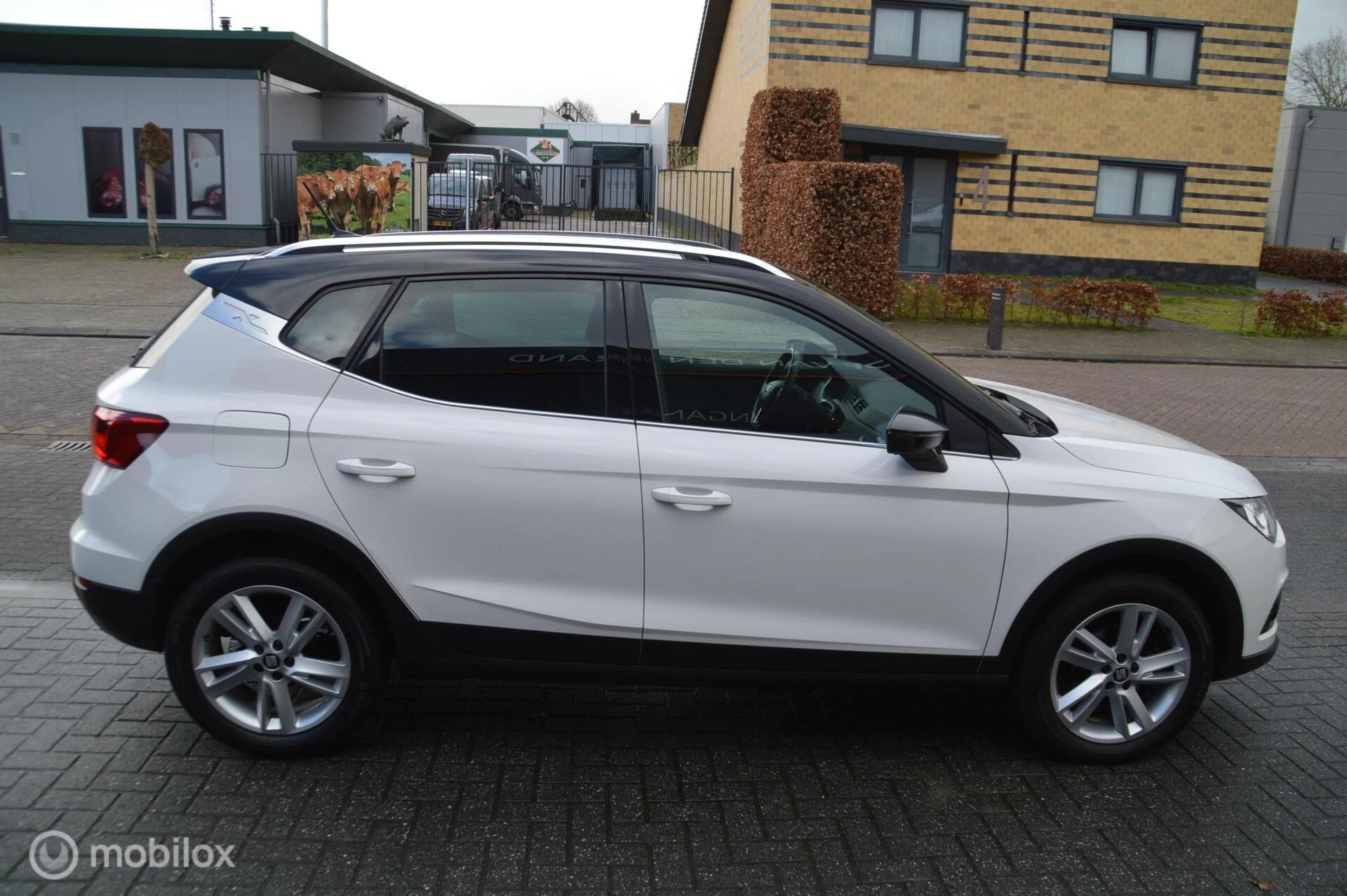 Hoofdafbeelding SEAT Arona