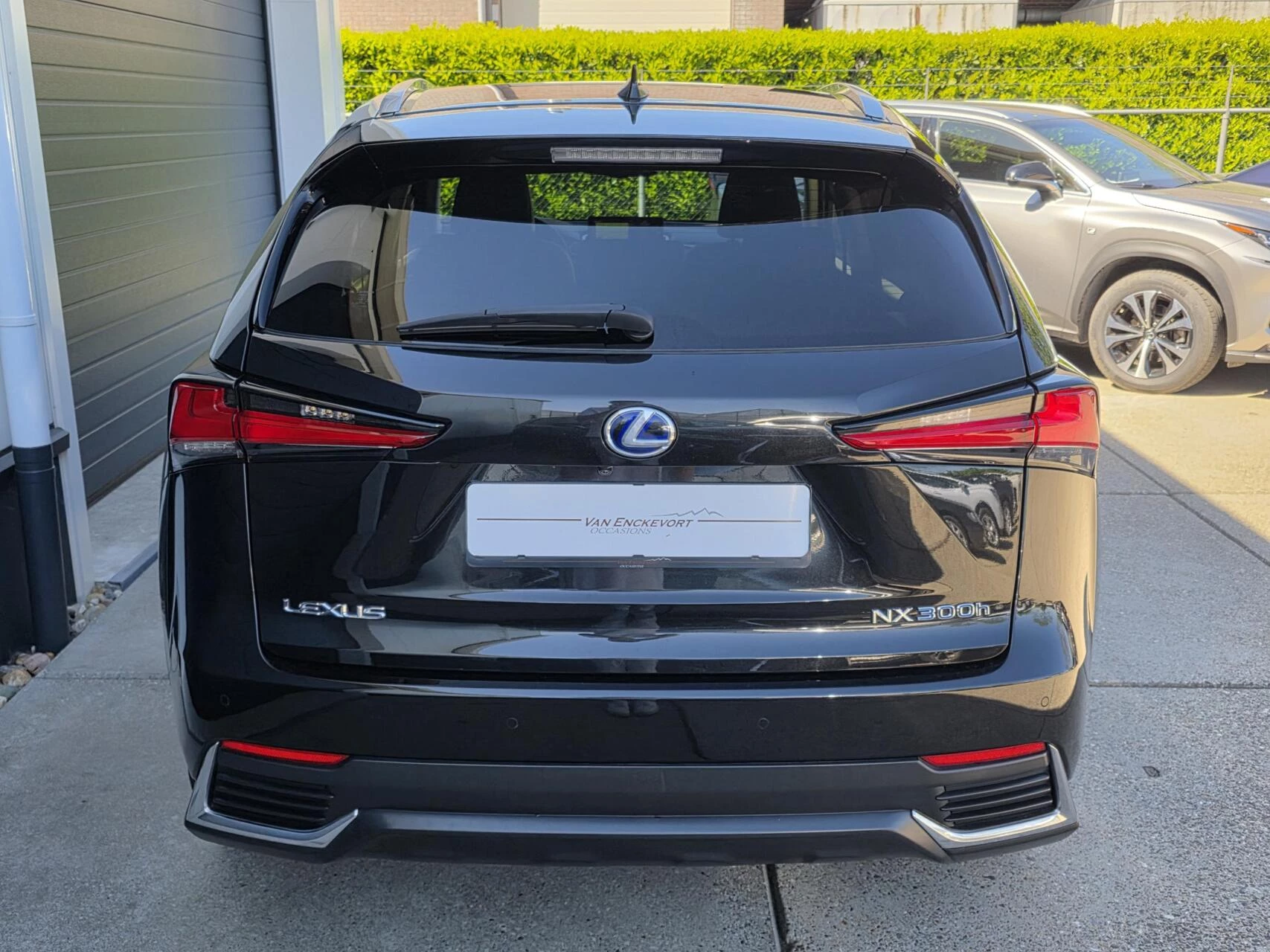 Hoofdafbeelding Lexus NX