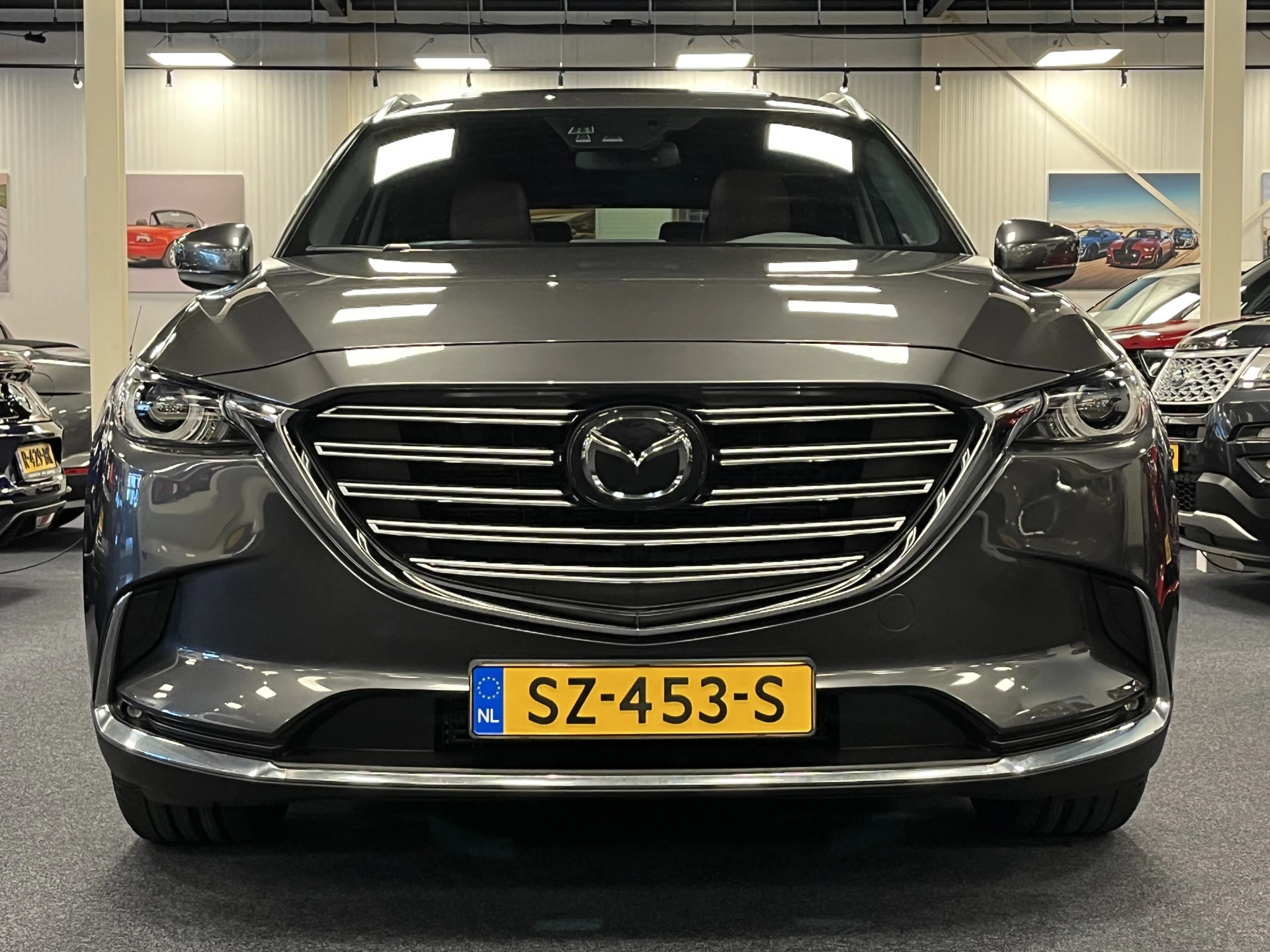 Hoofdafbeelding Mazda CX-9