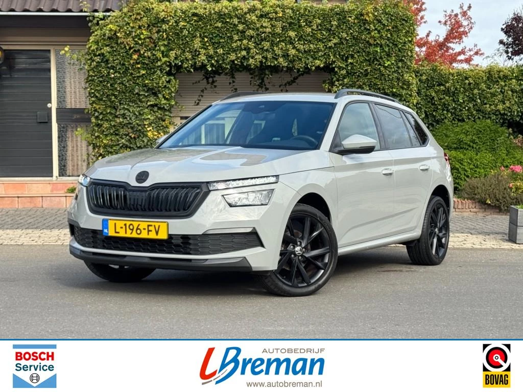 Hoofdafbeelding Škoda Kamiq
