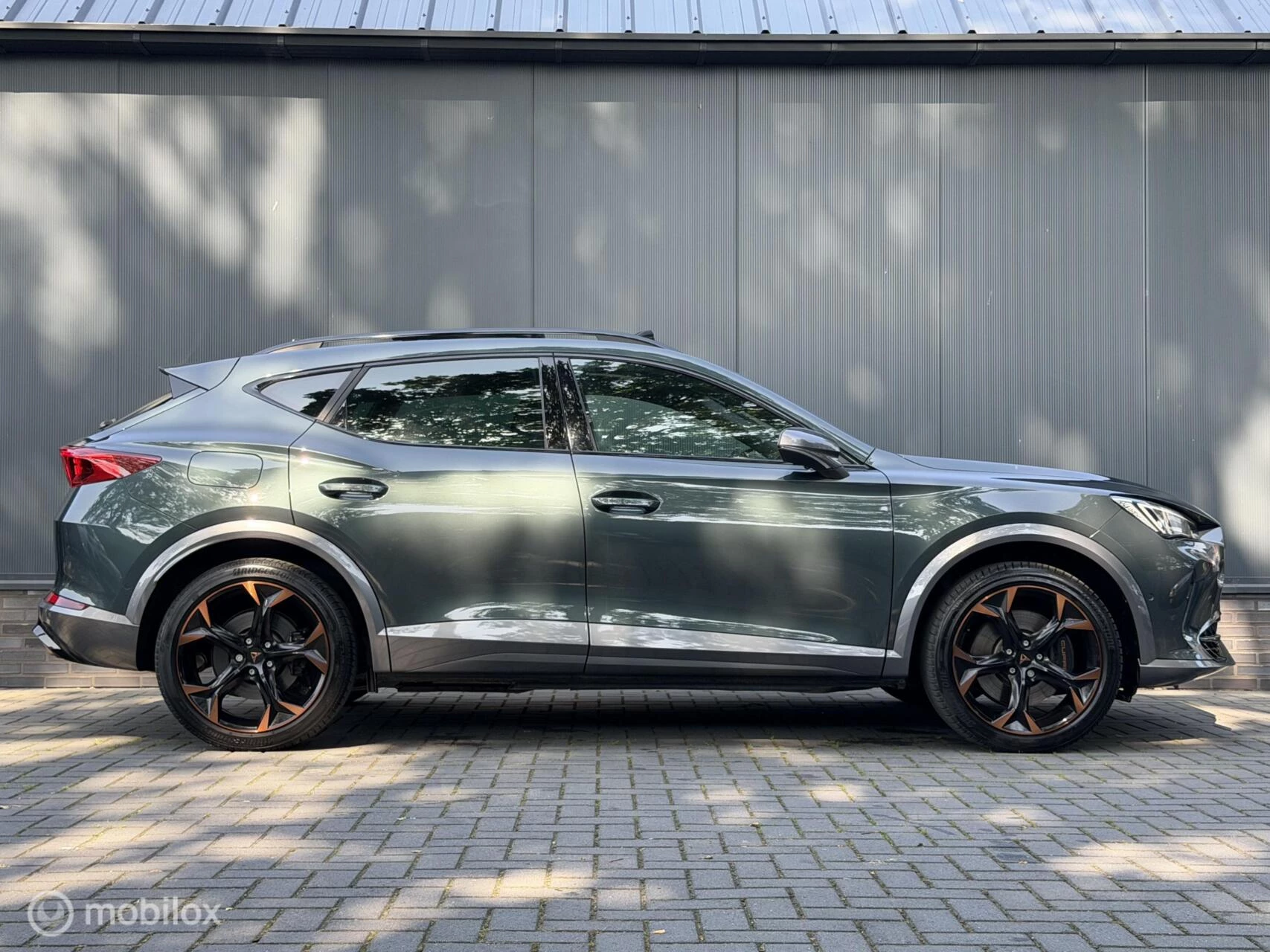 Hoofdafbeelding CUPRA Formentor