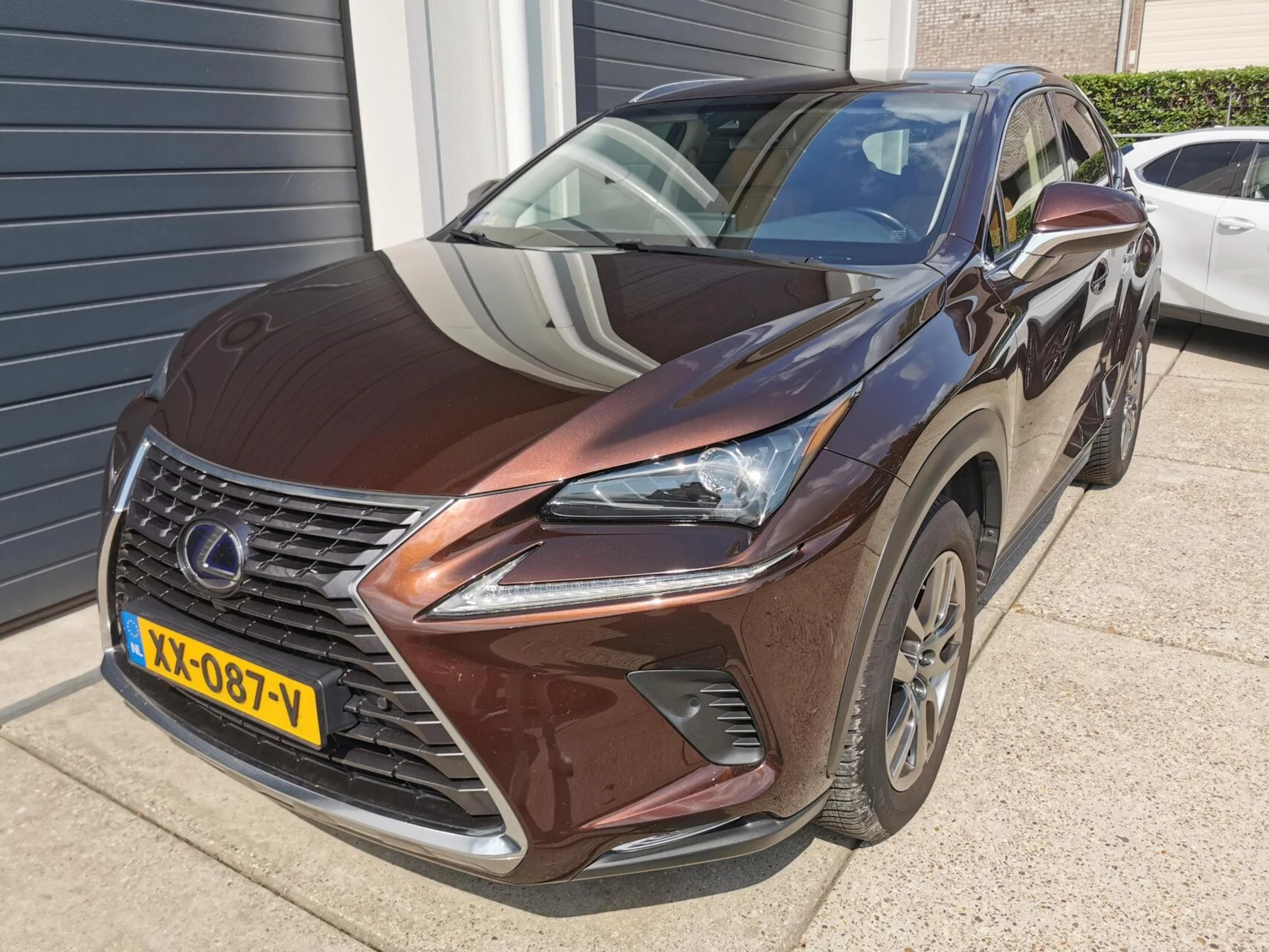 Hoofdafbeelding Lexus NX