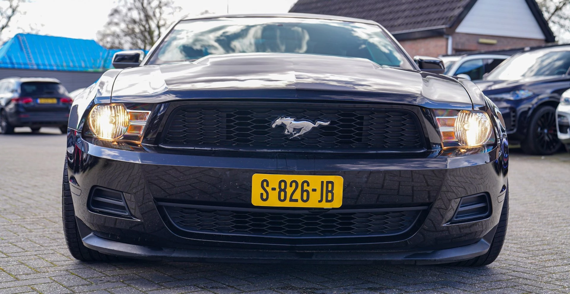 Hoofdafbeelding Ford Mustang