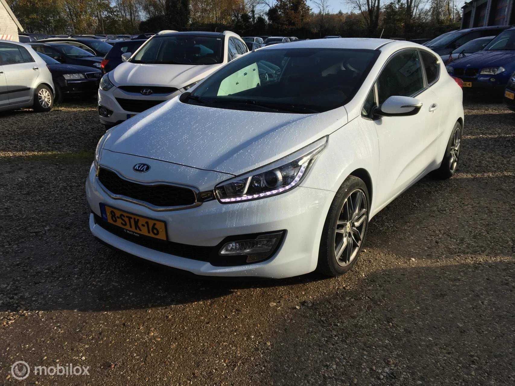 Hoofdafbeelding Kia pro_cee'd