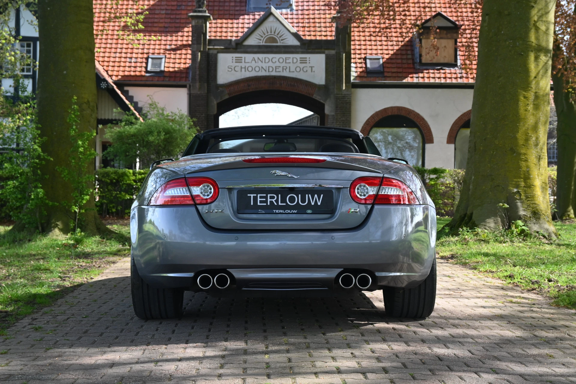 Hoofdafbeelding Jaguar XK