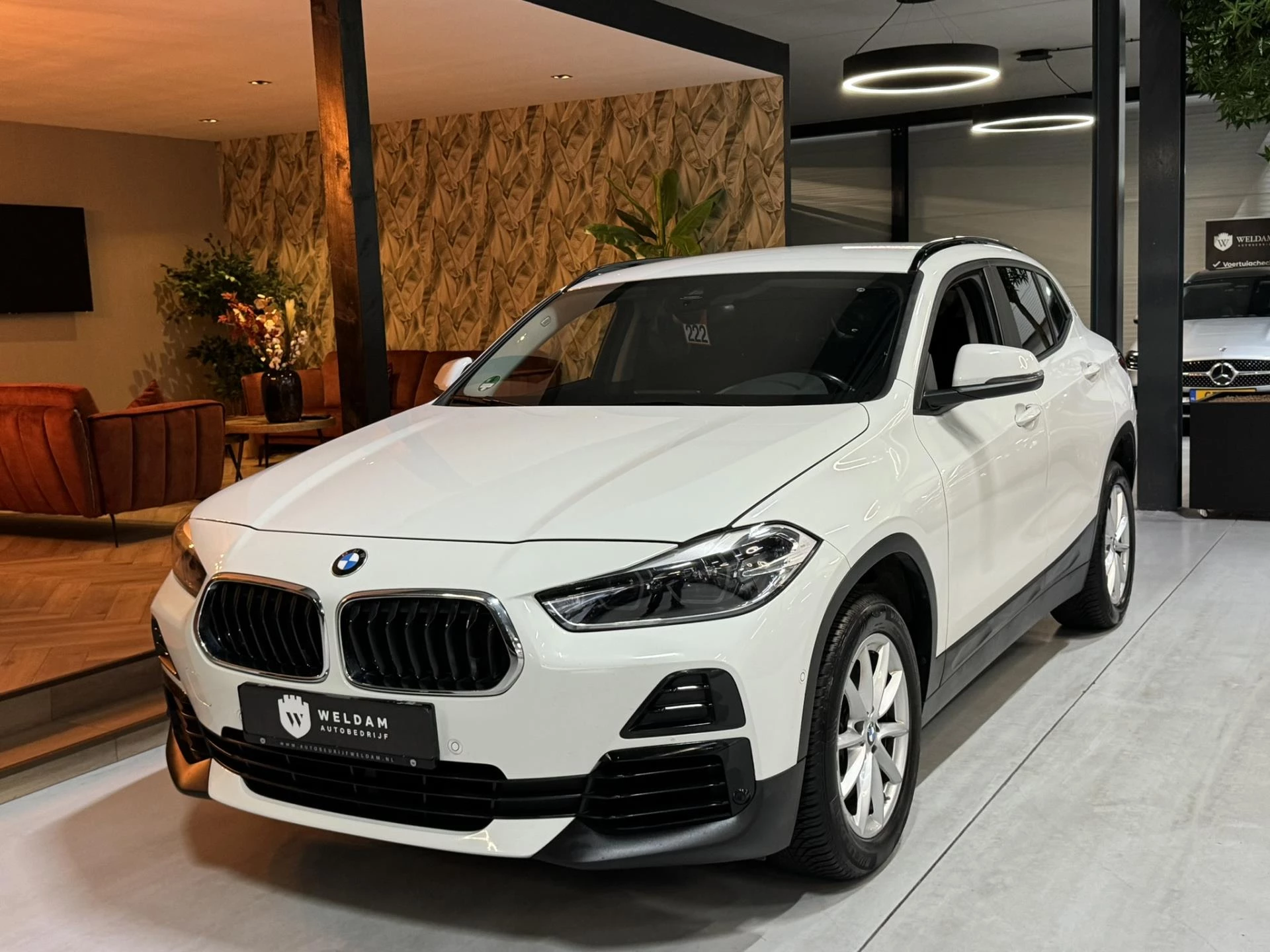 Hoofdafbeelding BMW X2