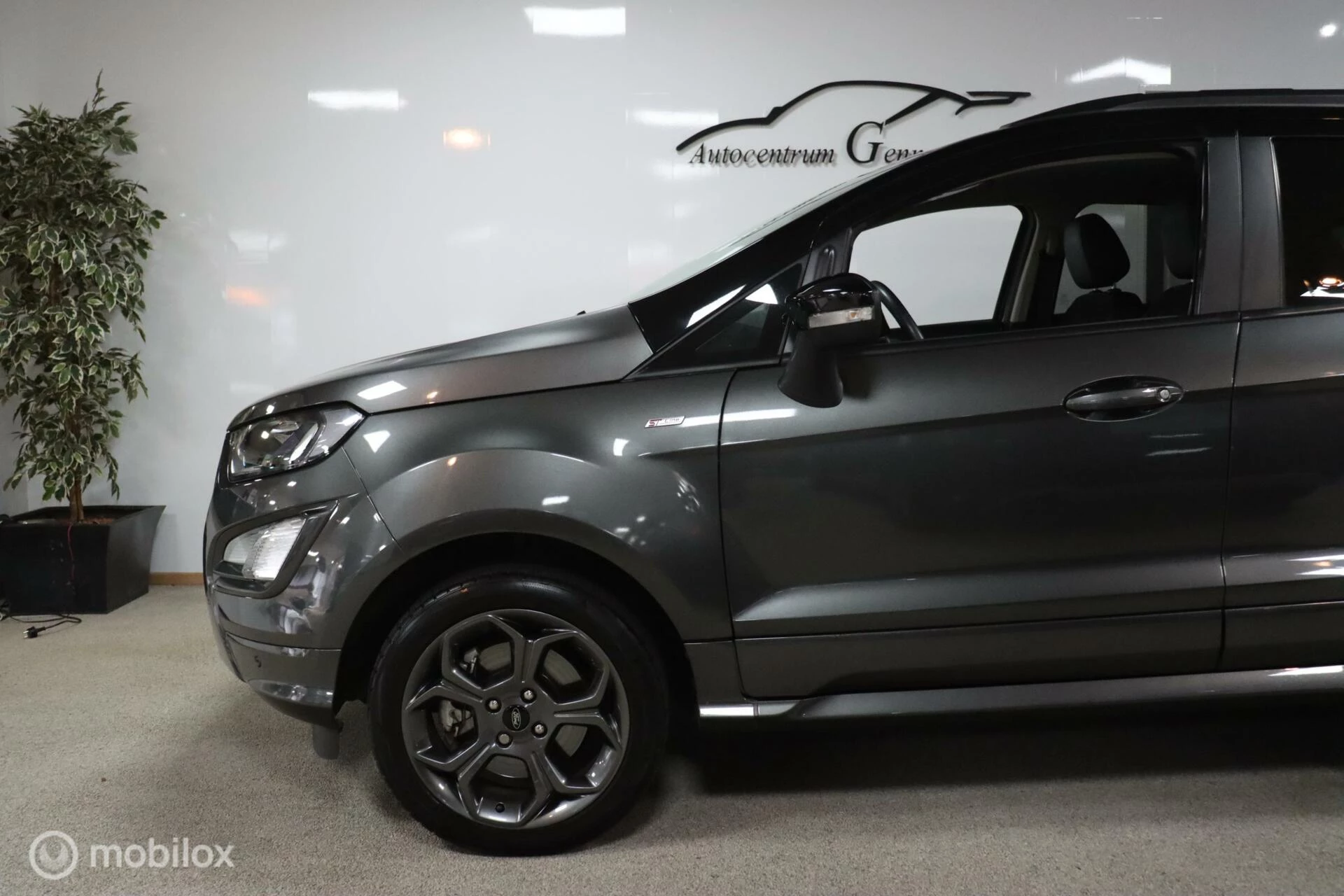 Hoofdafbeelding Ford EcoSport