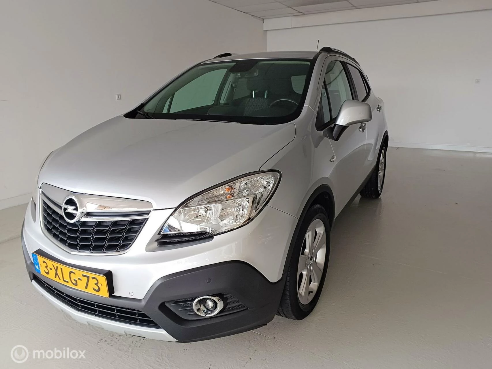 Hoofdafbeelding Opel Mokka
