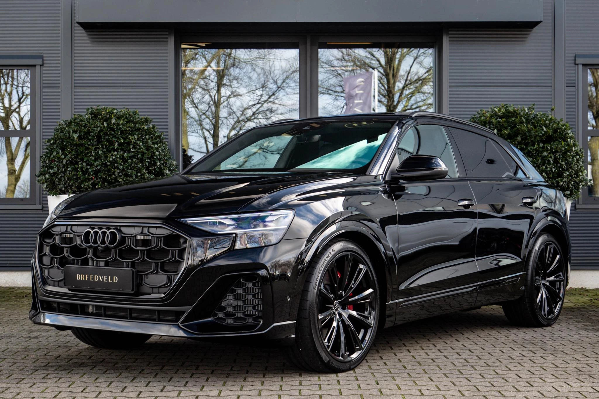 Hoofdafbeelding Audi Q8