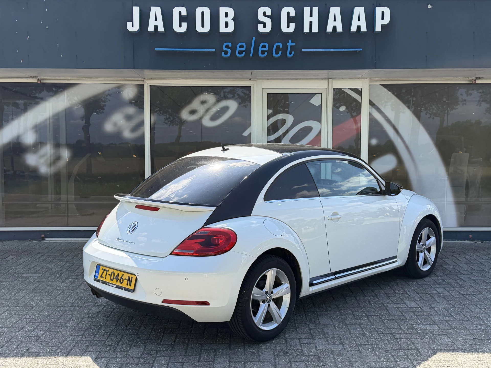 Hoofdafbeelding Volkswagen Beetle