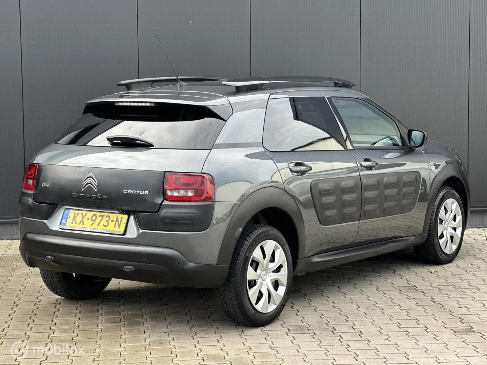 Hoofdafbeelding Citroën C4 Cactus