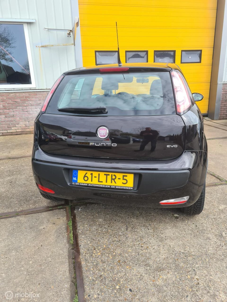 Hoofdafbeelding Fiat Punto