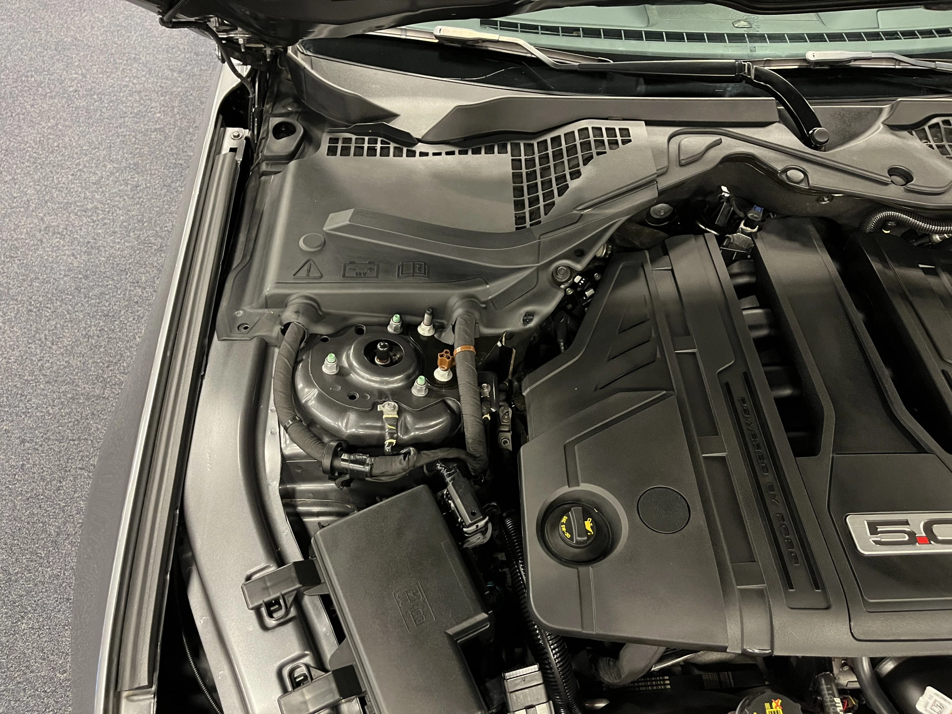 Hoofdafbeelding Ford Mustang