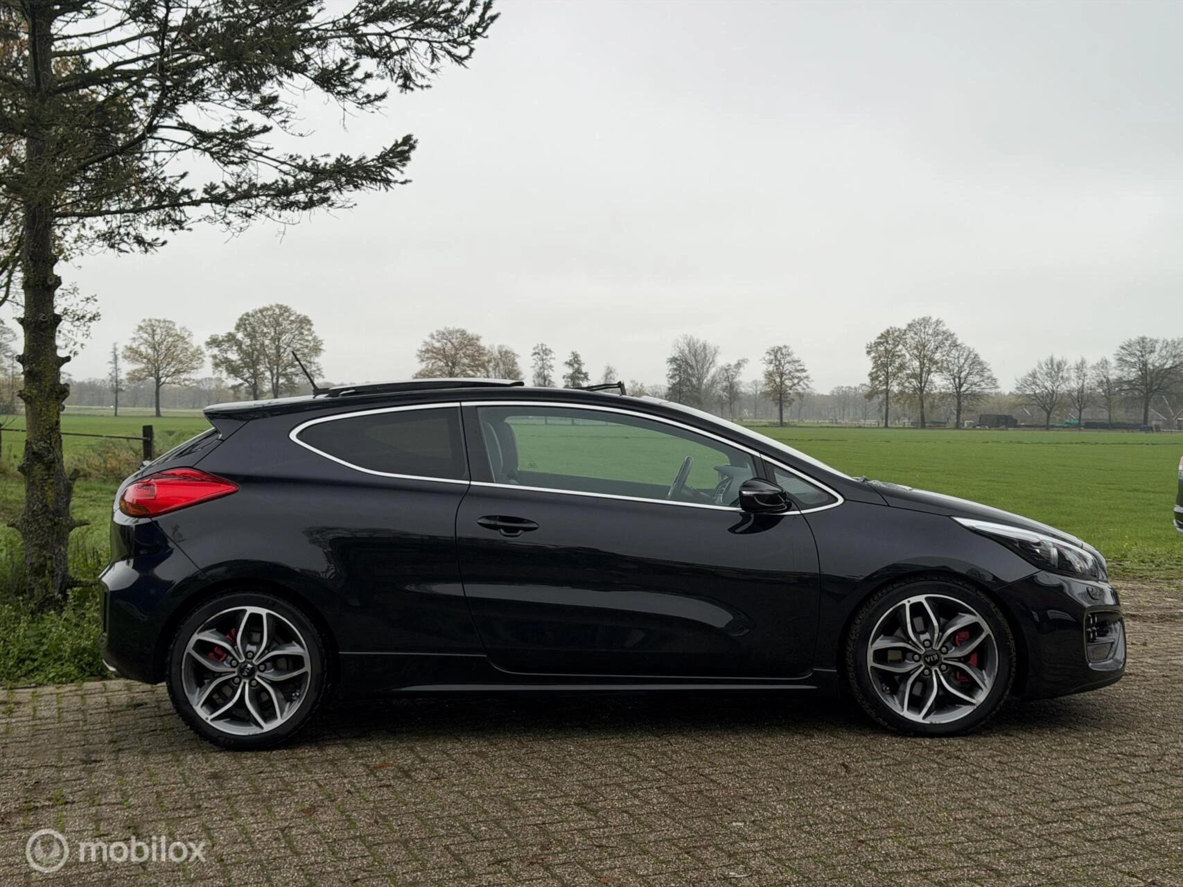 Hoofdafbeelding Kia pro_cee'd