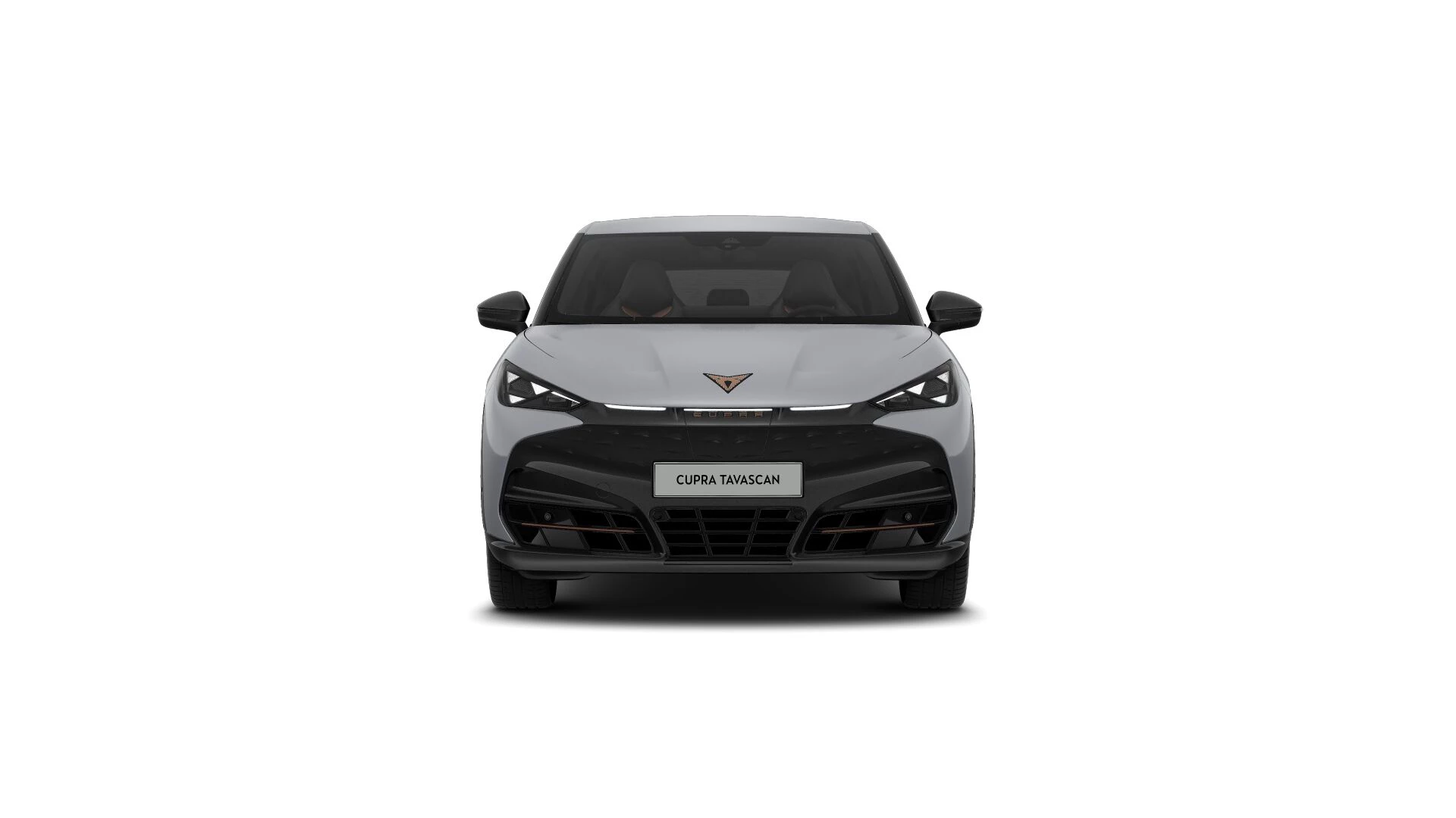 Hoofdafbeelding CUPRA Tavascan