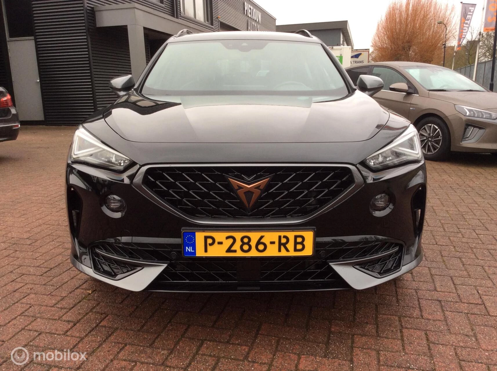 Hoofdafbeelding CUPRA Formentor