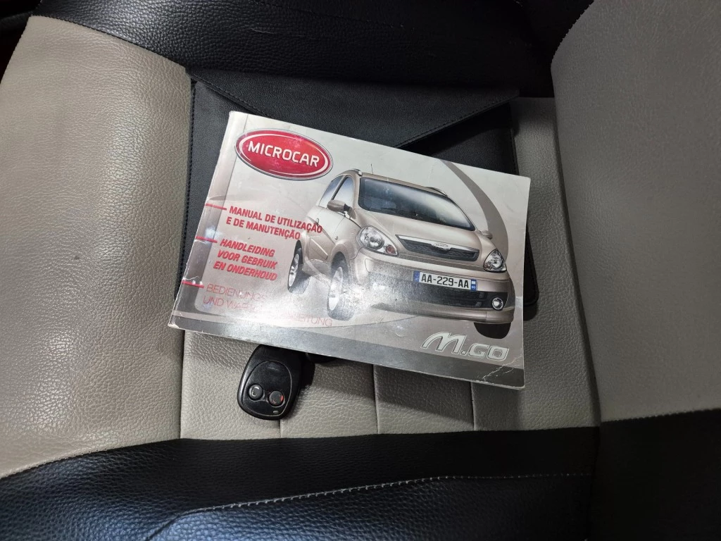 Hoofdafbeelding Microcar M.go