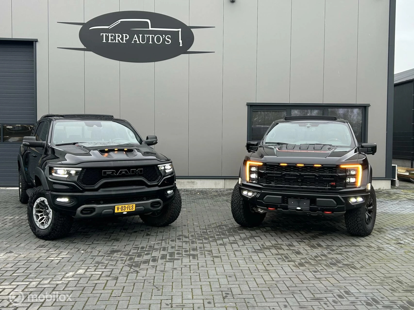 Hoofdafbeelding Ford Raptor R