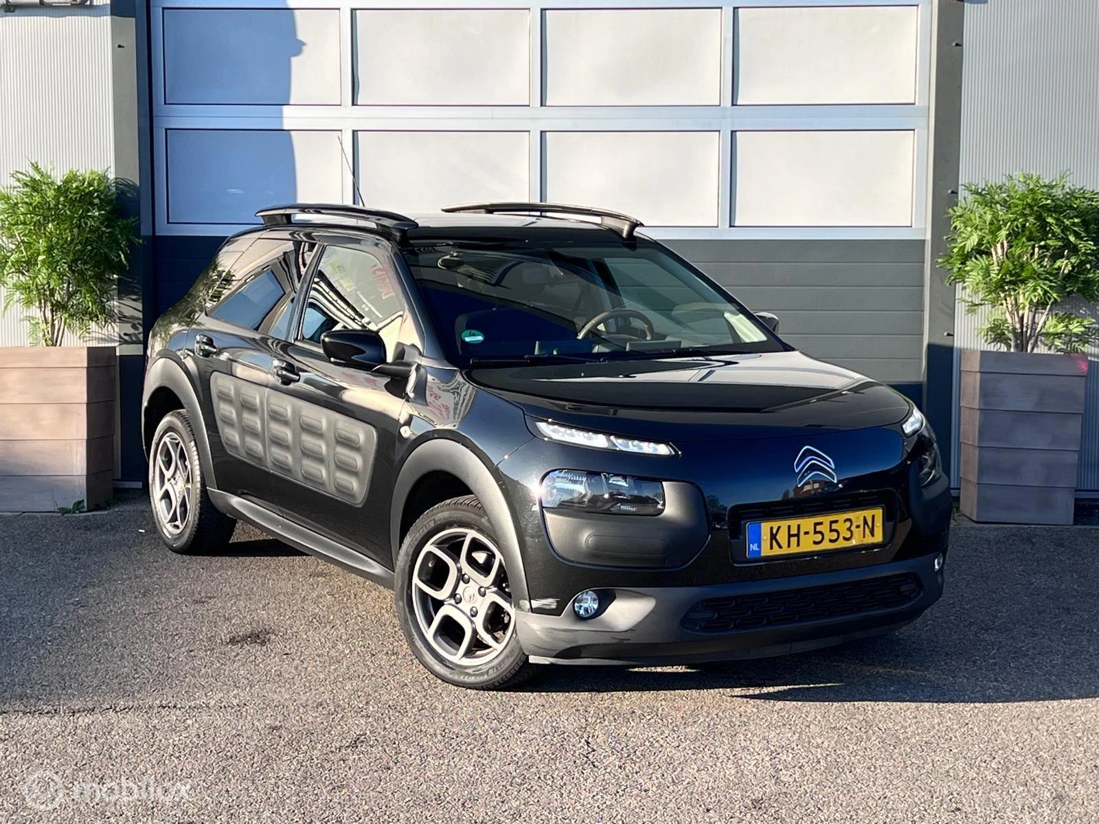 Hoofdafbeelding Citroën C4 Cactus