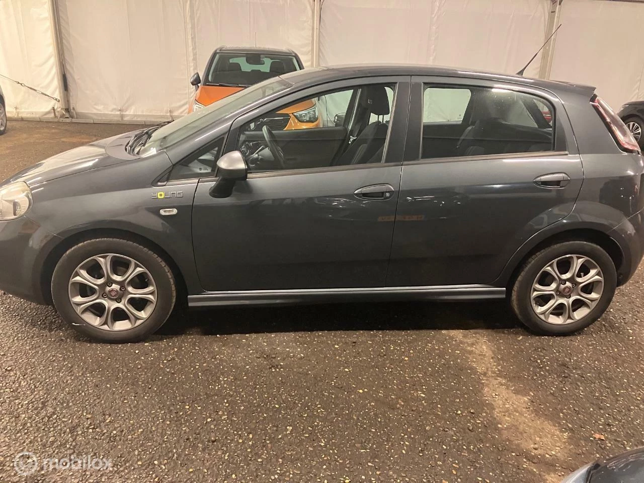 Hoofdafbeelding Fiat Punto