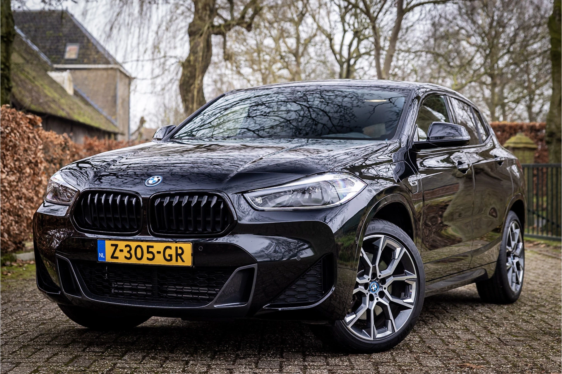 Hoofdafbeelding BMW X2