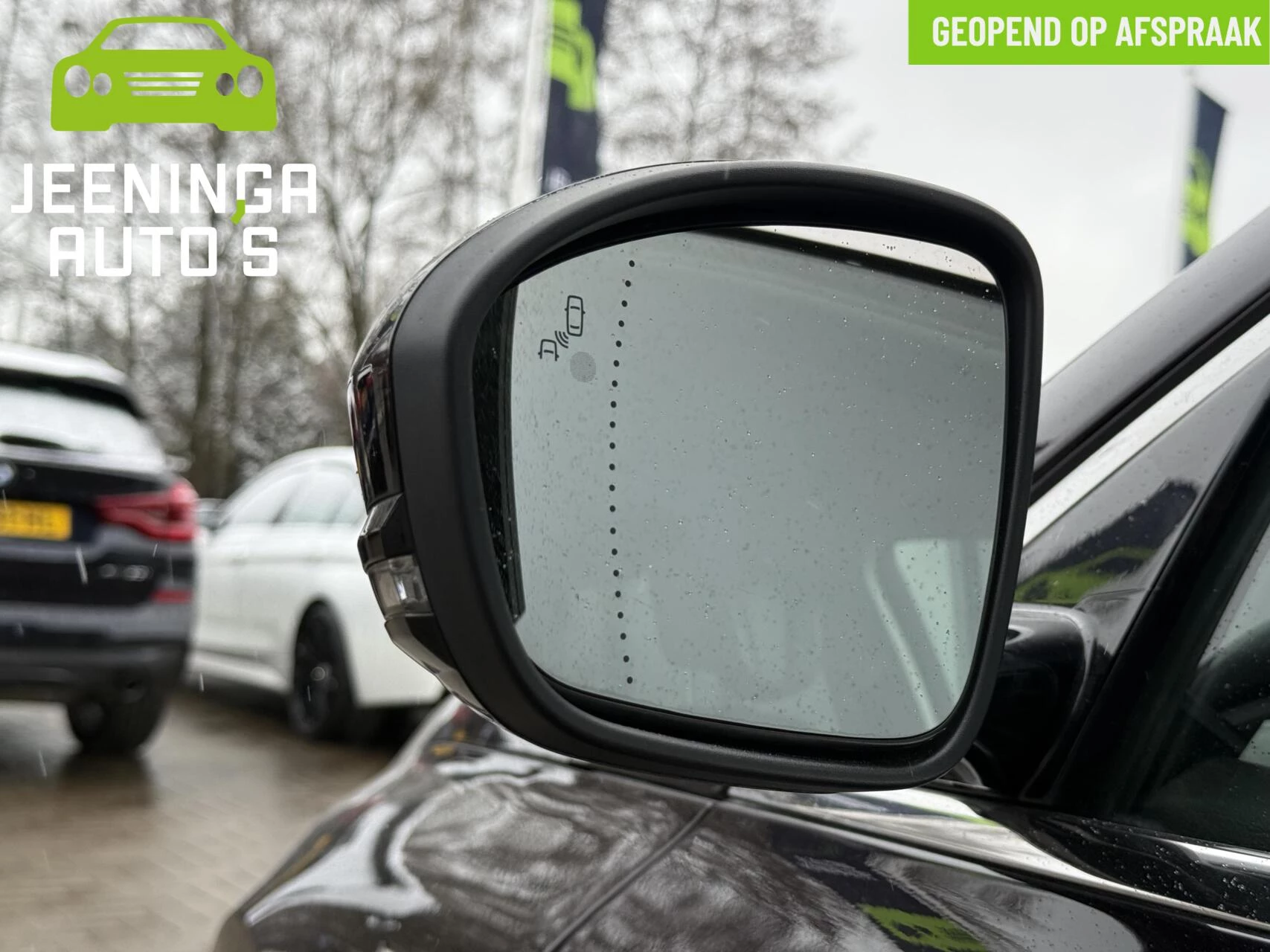 Hoofdafbeelding Renault Talisman