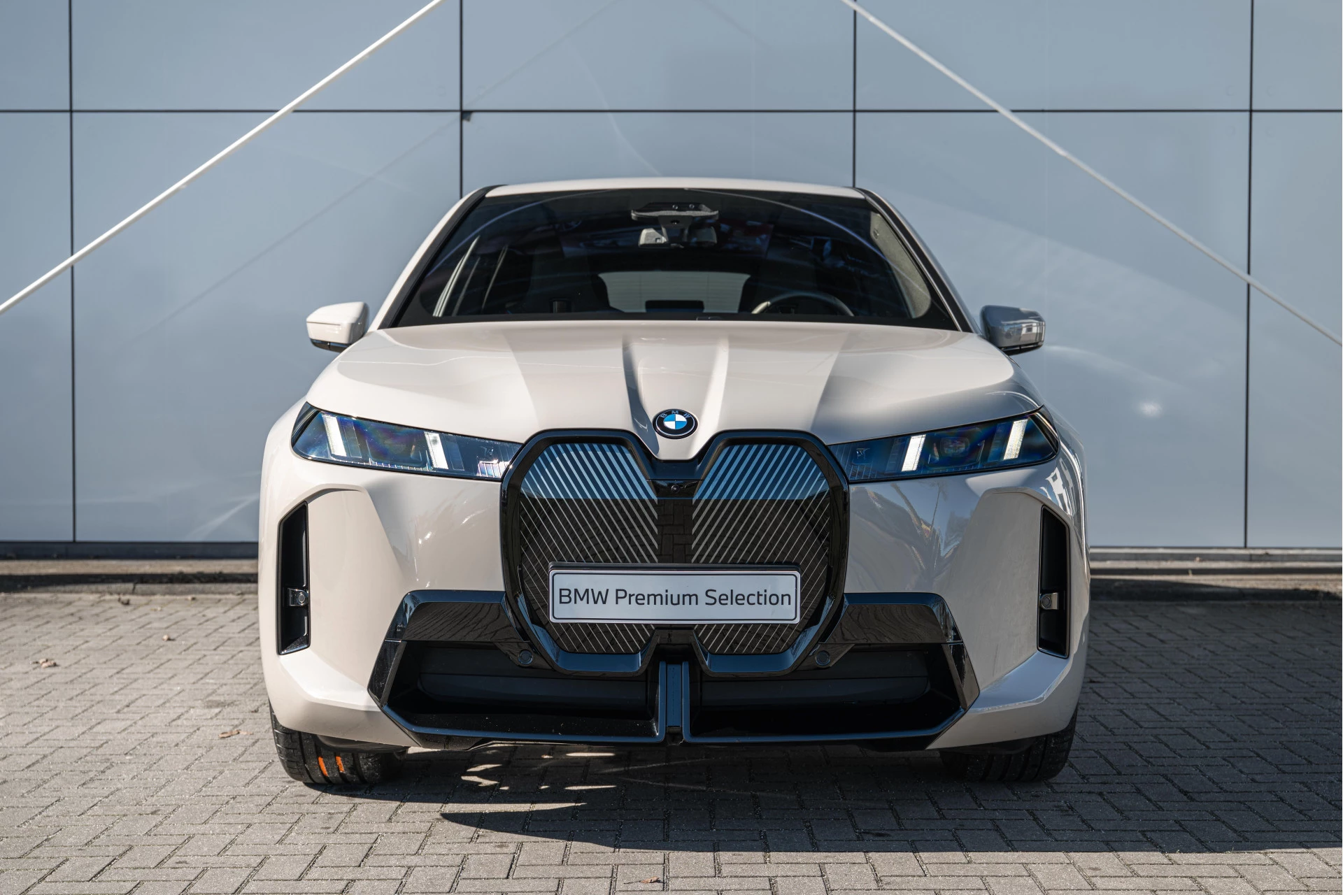 Hoofdafbeelding BMW iX